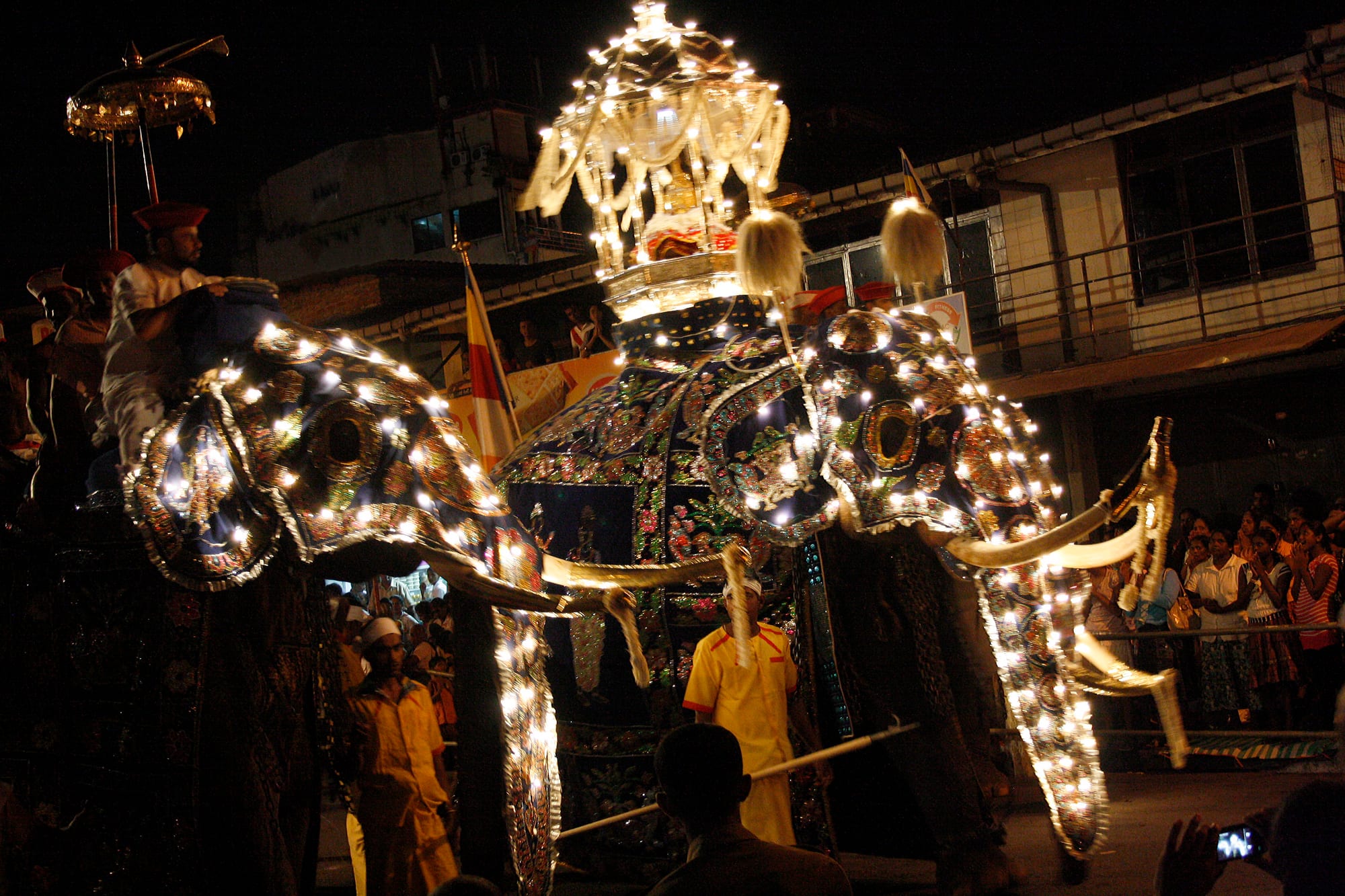 Elephants draped in embroidered cloths edged with strings of lights walk through a street at night, one carrying a glowing canopy on its back, with attendants in white and yellow alongside and onlookers behind a railing