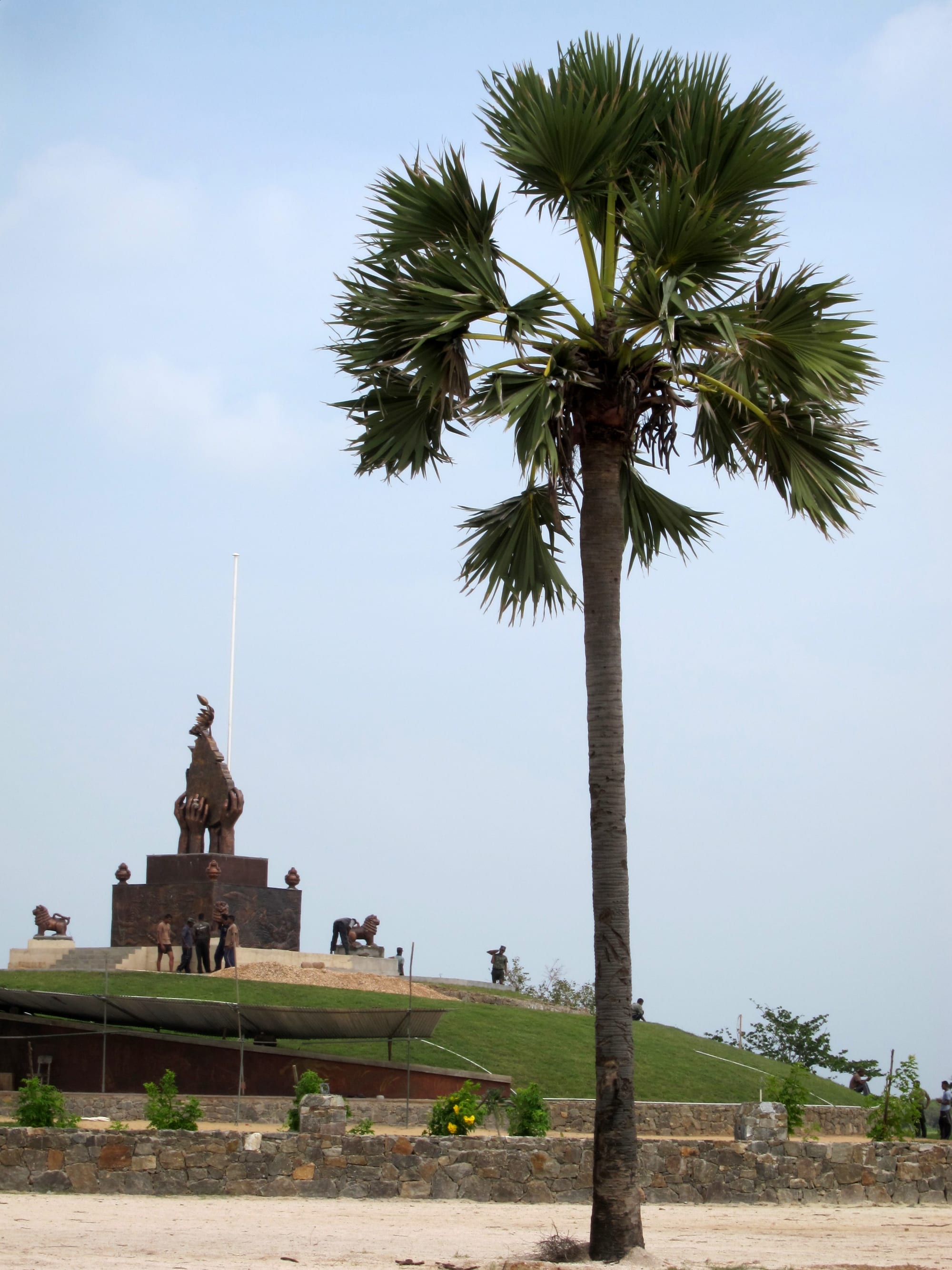A war memorial and a lone tree on the flat, open terrain of Elephant Pass in northern Sri Lanka
