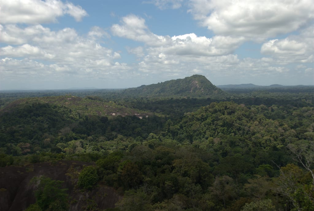 A rounded granite dome rising above dense rainforest canopy