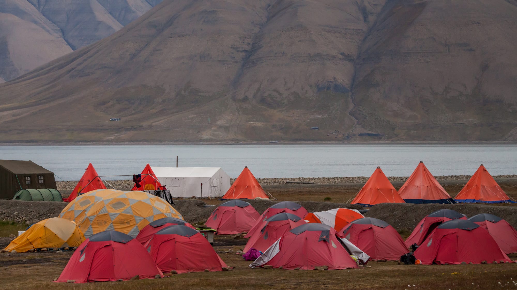 A small town of colourful buildings below bare brown mountains at the head of an Arctic fjord