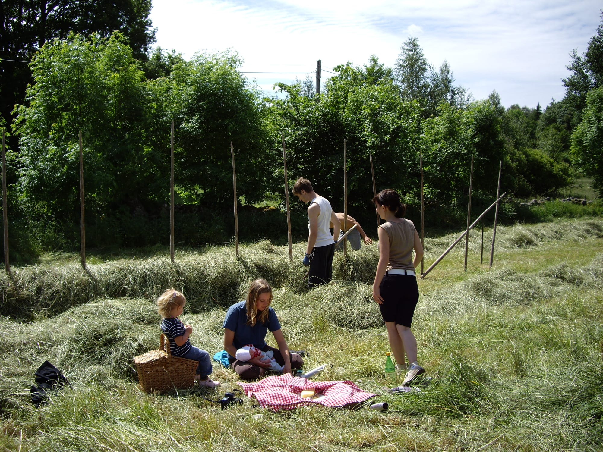 A family sitting on a red-checked blanket in a sunlit hay field, sharing coffee and food while two adults work in the background