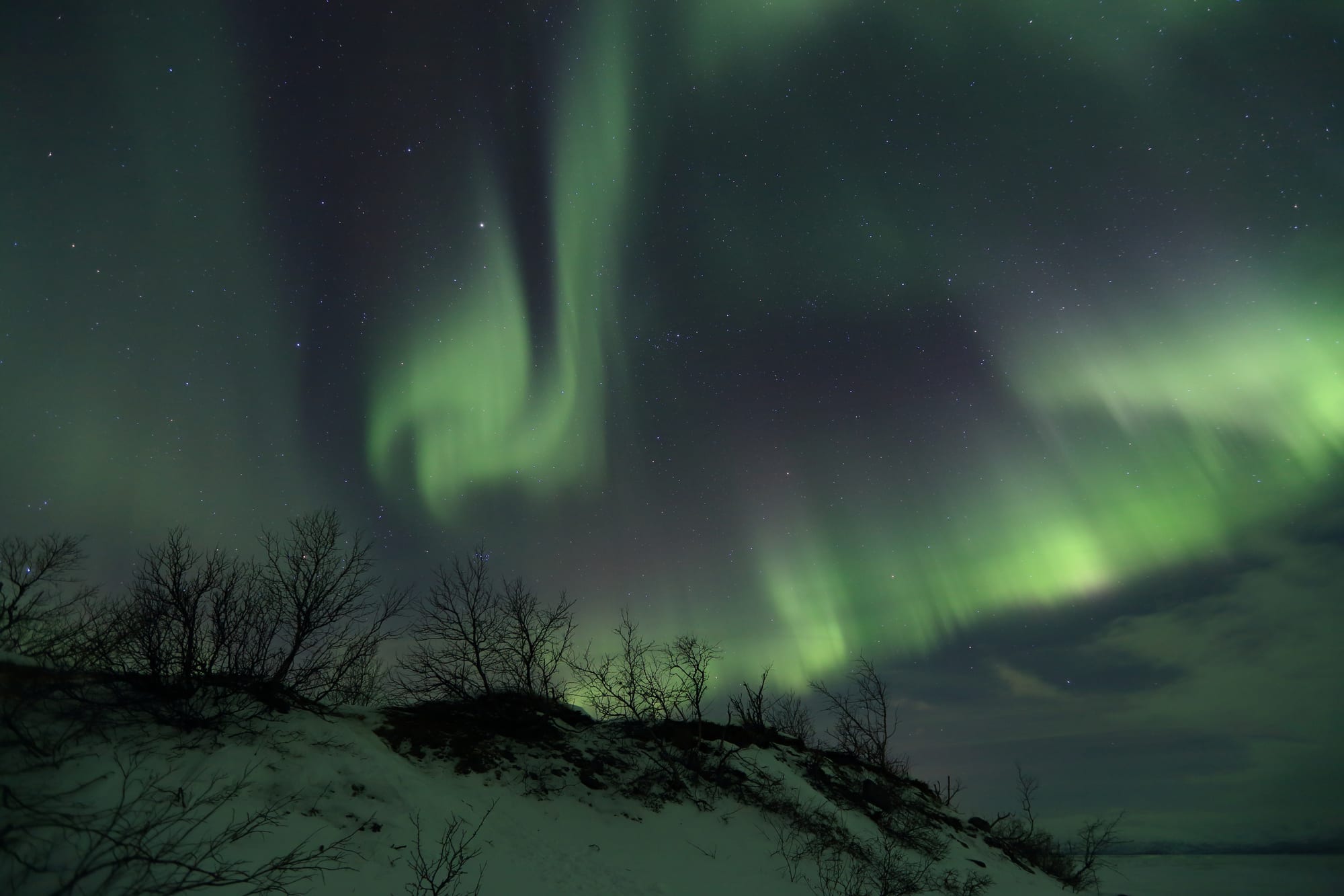 Green aurora borealis light over a snowy landscape and lake