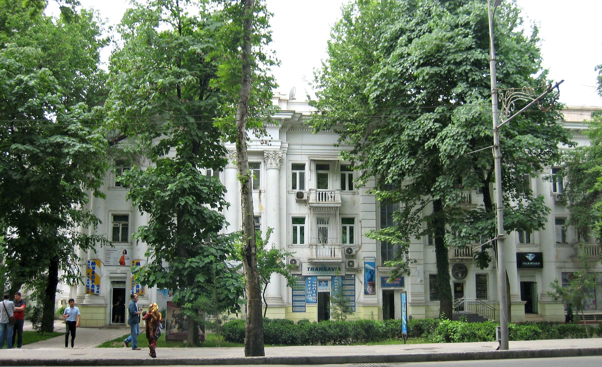 A tree-lined boulevard in a green city