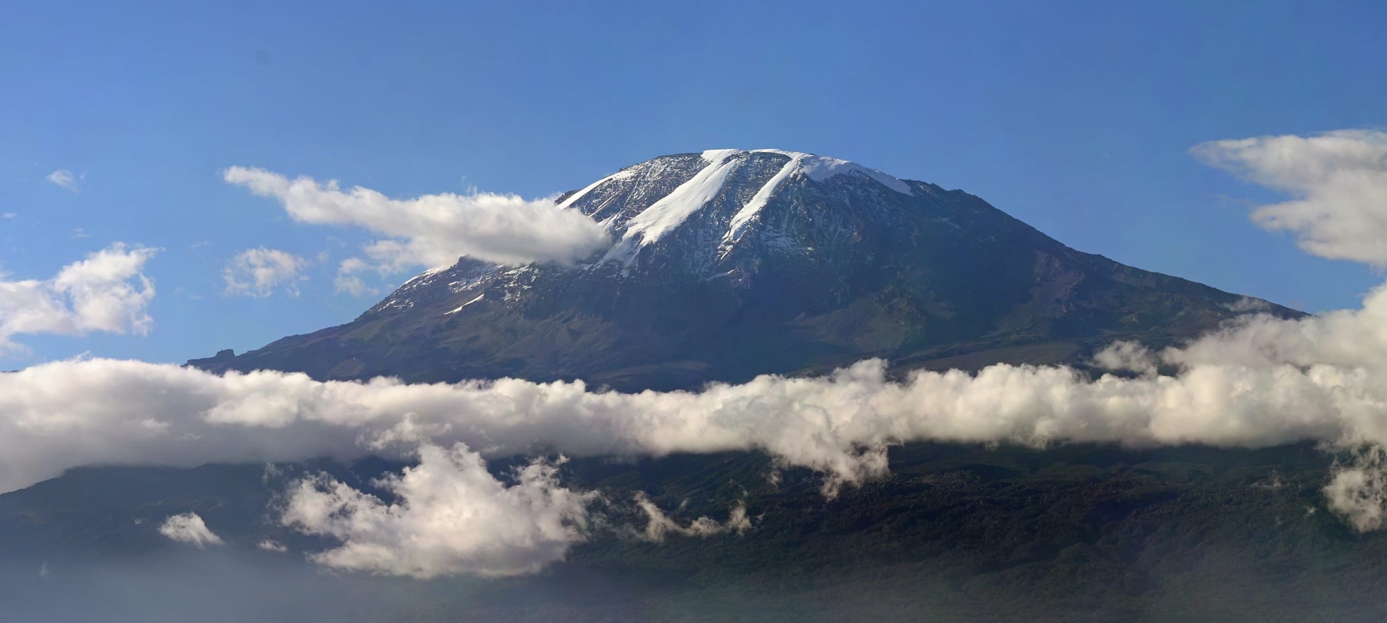 A snow-capped mountain rising above the African savanna