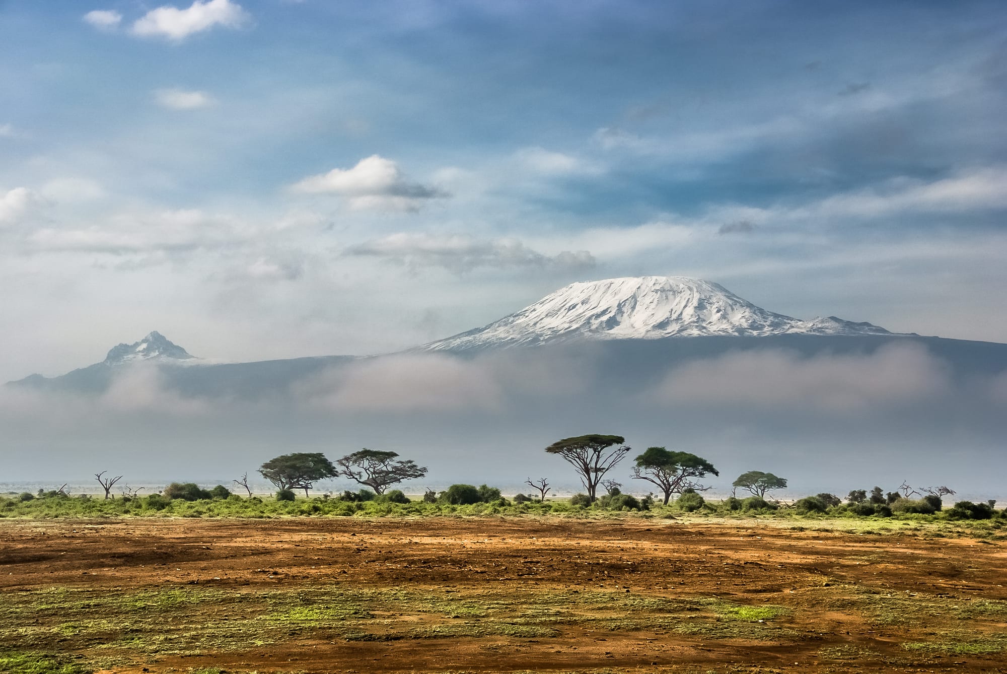 The snow-capped flat dome of Mount Kilimanjaro rising above a dry plain with acacia trees and elephants