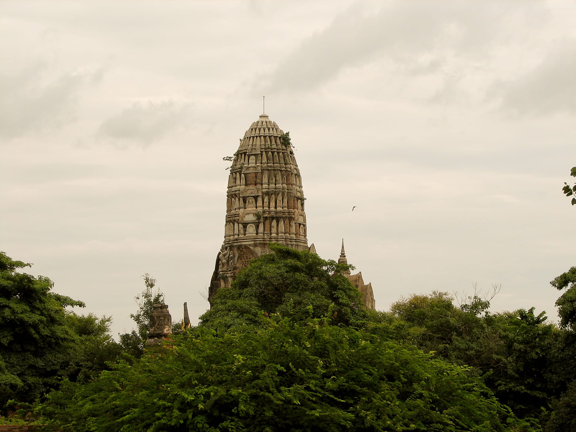 Ancient stone temple ruins with a Buddha head embedded among tree roots