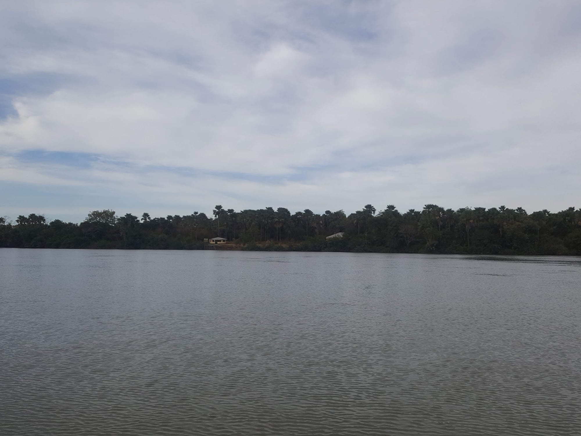 A wide brown river with dense green mangrove and forest along both banks