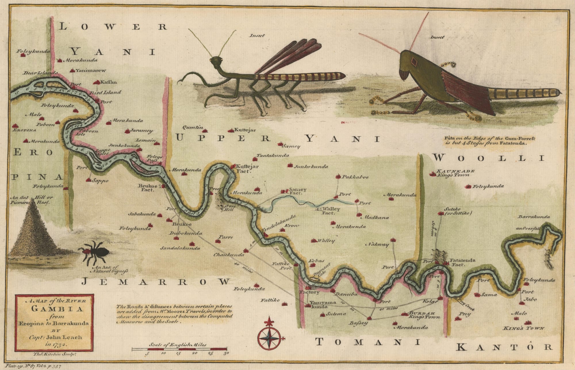 A hand-coloured 18th-century map of a winding river, with riverside towns marked in red, kingdom names in large letters and drawings of insects in the margin
