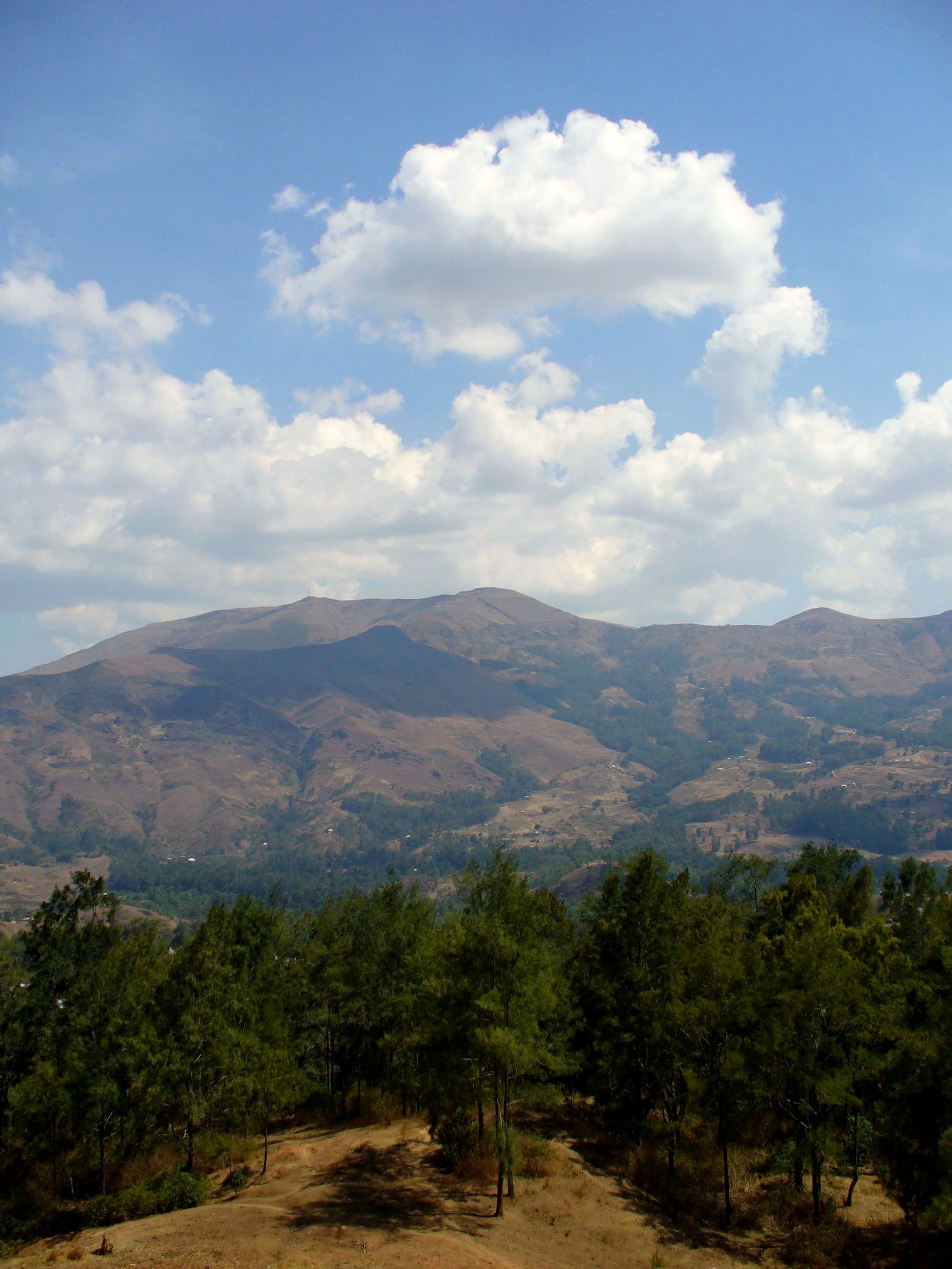 Pine-forested ridge looking out over dry mountain highlands under a big sky