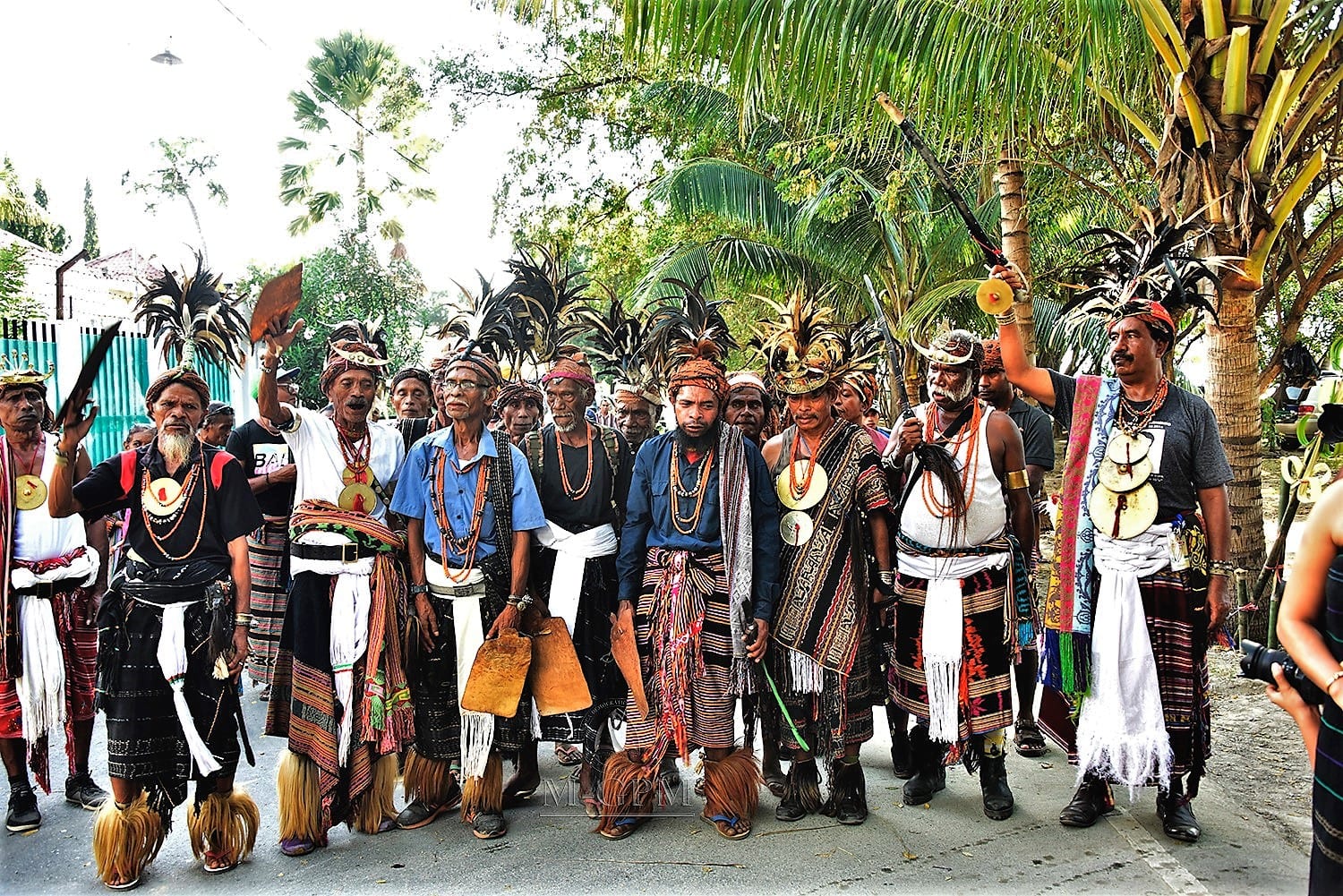 A line of older men in traditional dress, with woven tais wrapped at the waist, beaded necklaces, round metal breastplates and tall feathered headdresses, standing in a street lined with palms