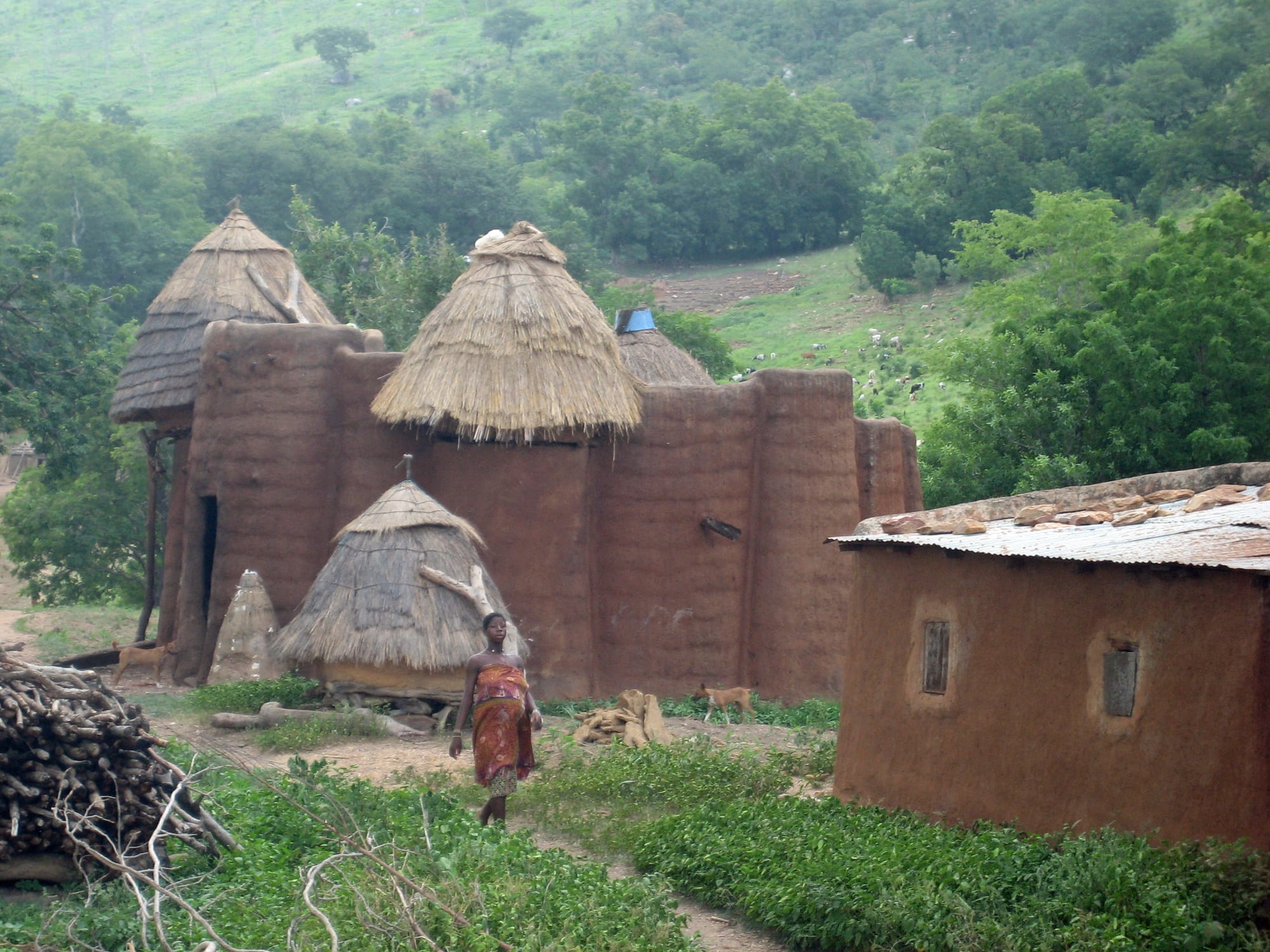 A distinctive round mud tower house with a thatched roof