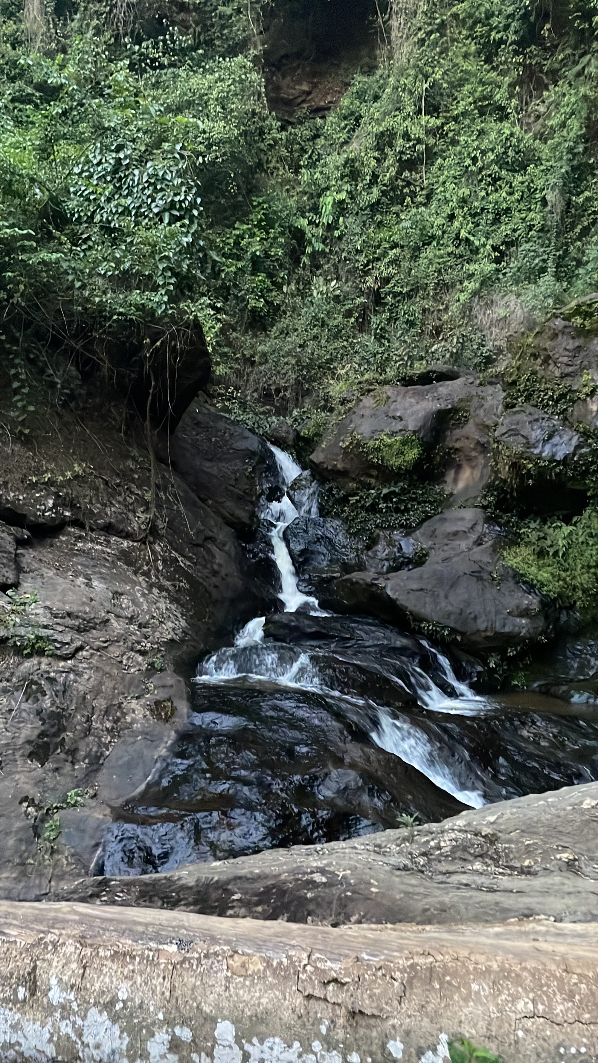 A waterfall cascading through green forested hills