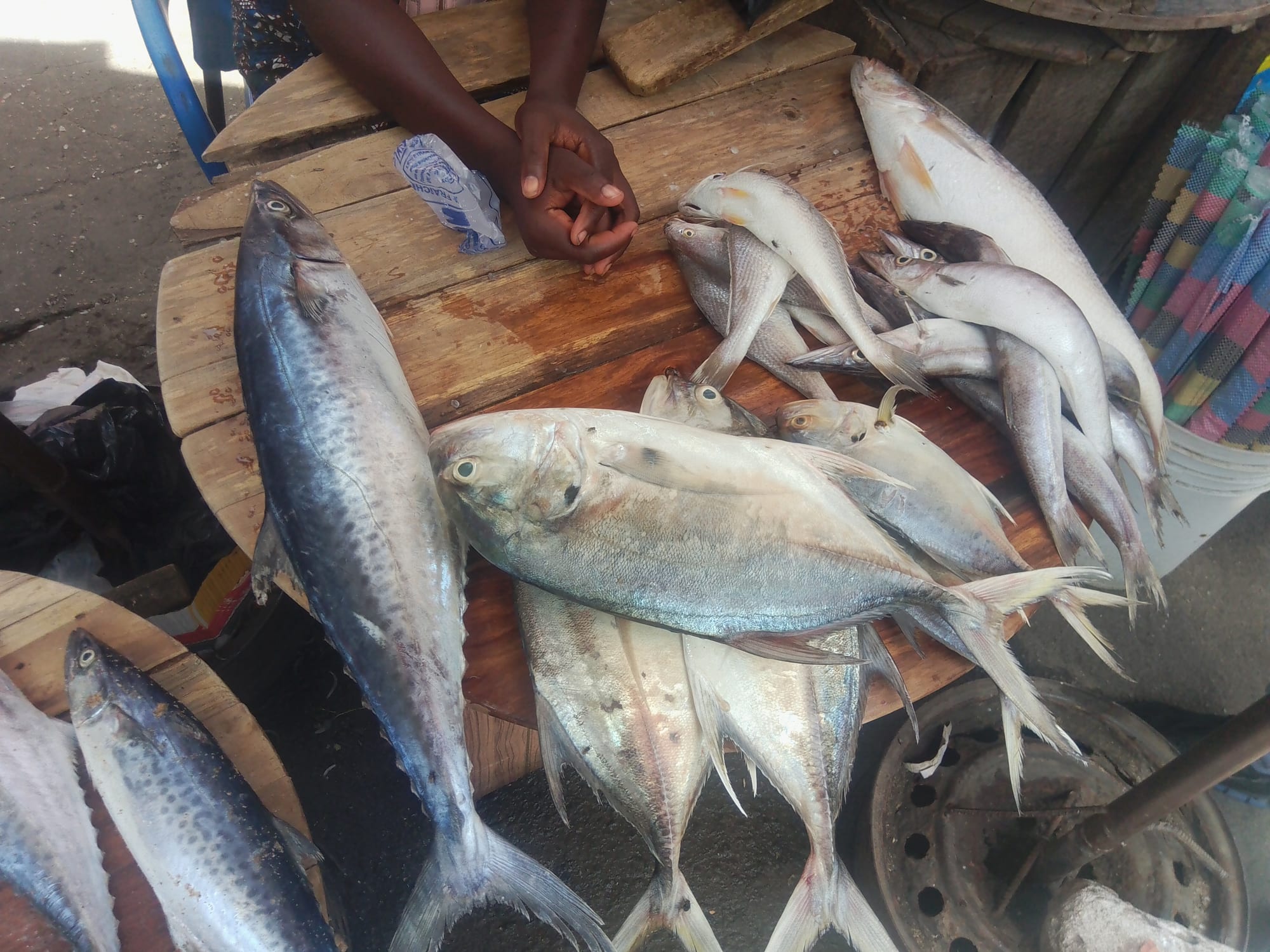 Fresh fish varieties displayed for sale on a market table