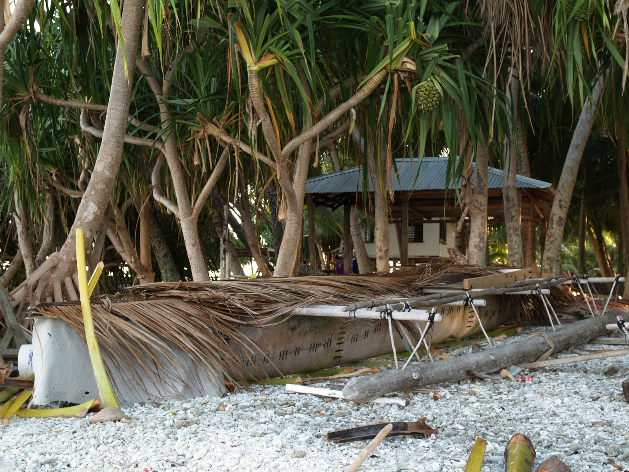 A traditional wooden outrigger canoe, its hull marked with tally notches, resting under pandanus trees near a house on Atafu