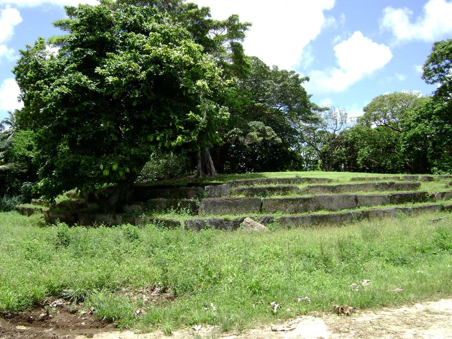 Tiered stone-slab terraces of an ancient royal burial mound under a large tree