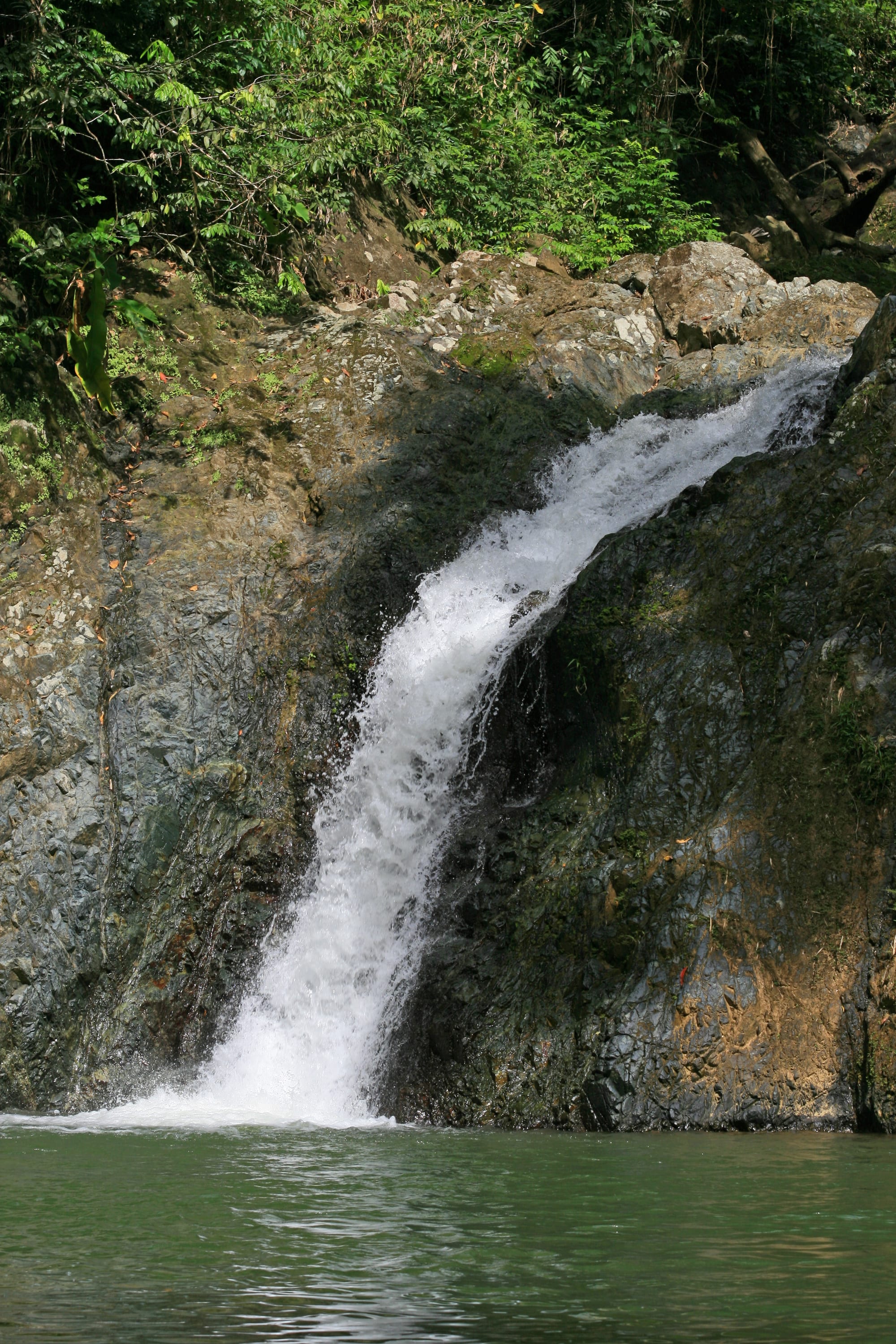A waterfall dropping into a green pool in dense rainforest