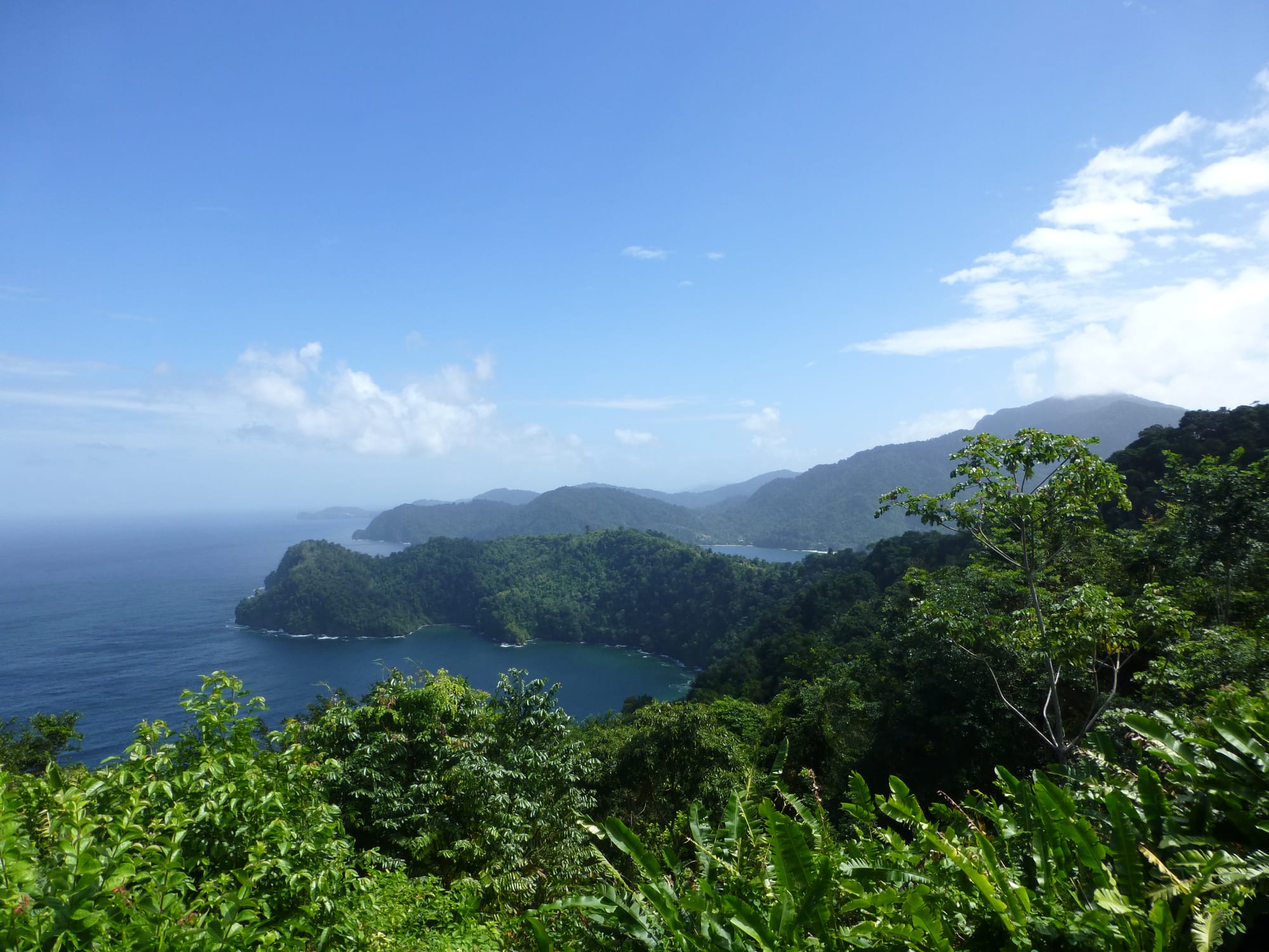A forested coastline with a hidden bay, seen from a high viewpoint