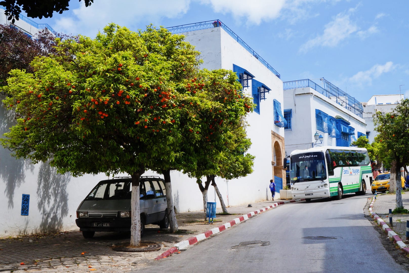 A narrow lane of blue-and-white buildings with ornate blue doors and shutters