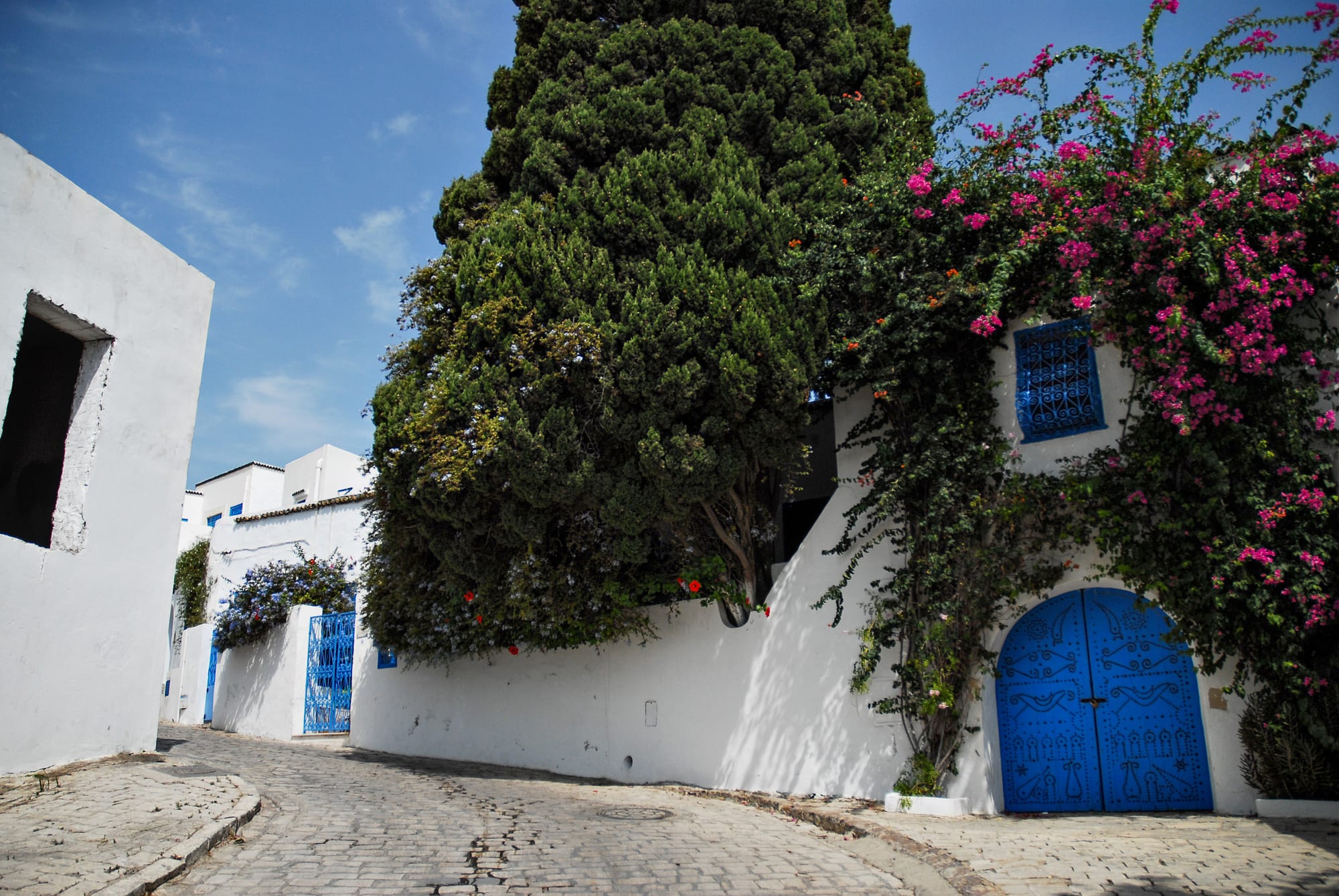A cobbled lane between whitewashed walls, with a tall cypress tree, pink bougainvillea spilling over a wall, and a studded blue arched door and blue window grille set into the white