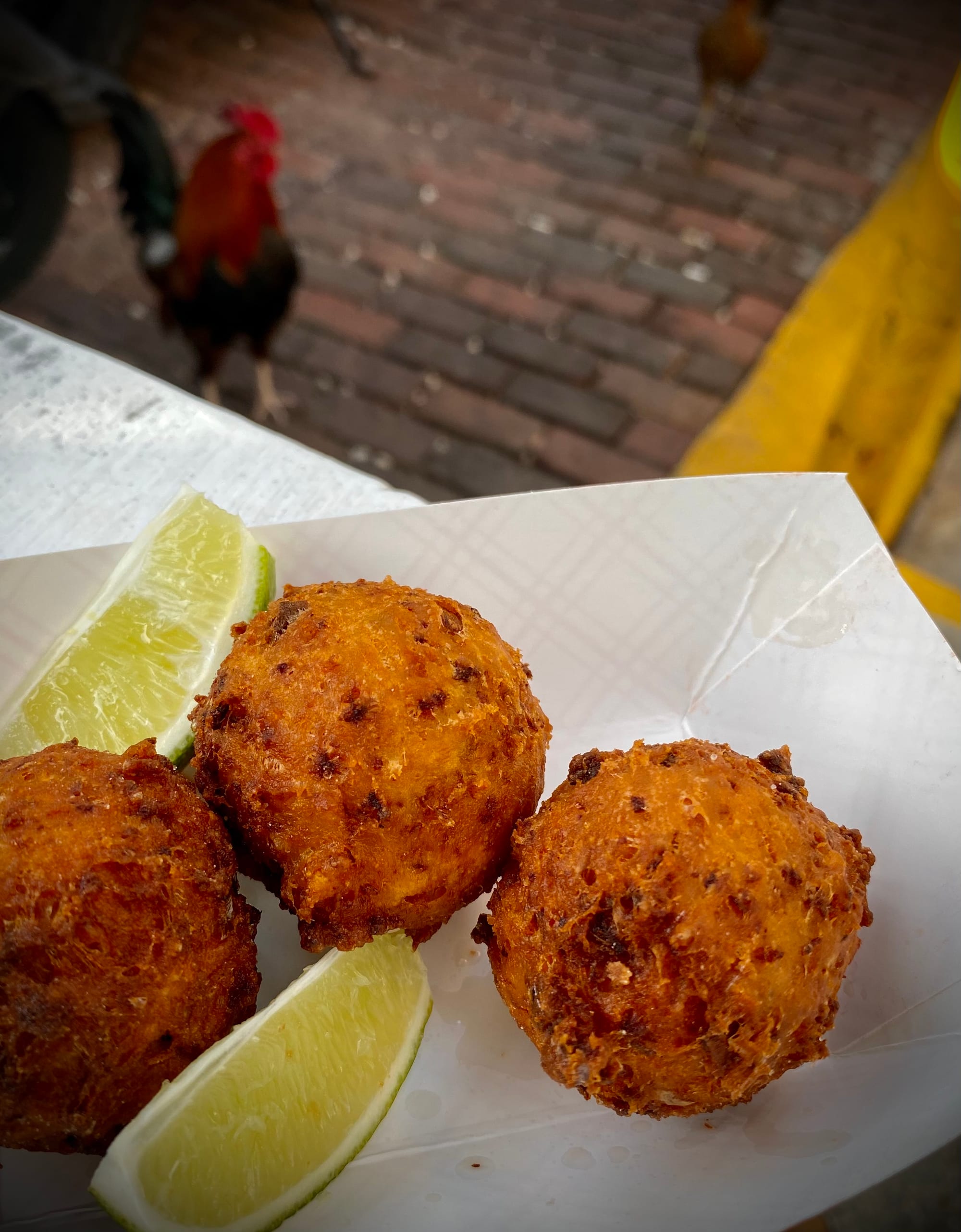 A plate of golden fried conch fritters