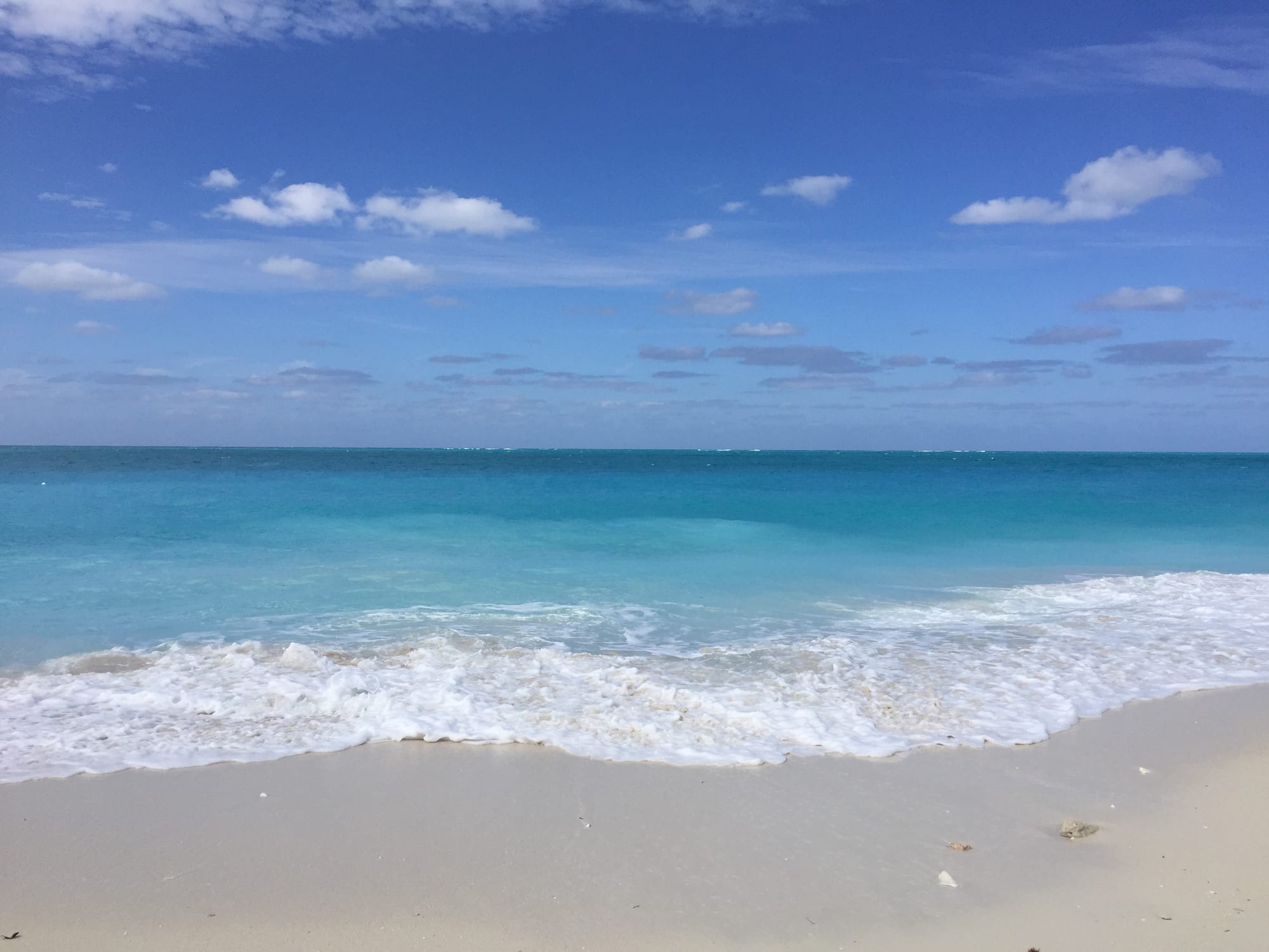 A long curve of white sand beside calm pale-turquoise water under a bright sky on Providenciales