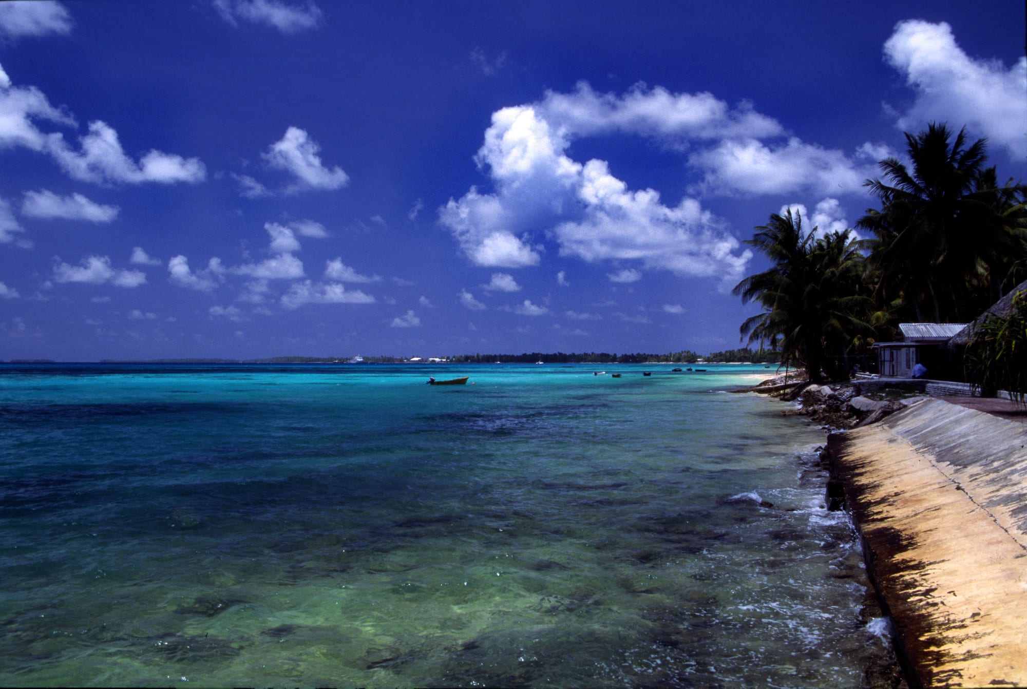 A calm lagoon beach lined with palm trees