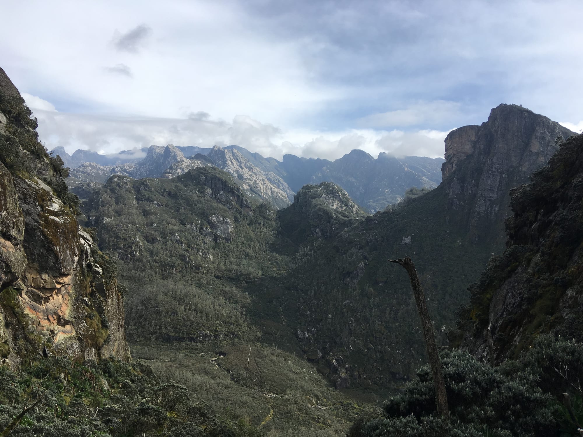 Snow-capped equatorial mountain peaks rising above green foothills