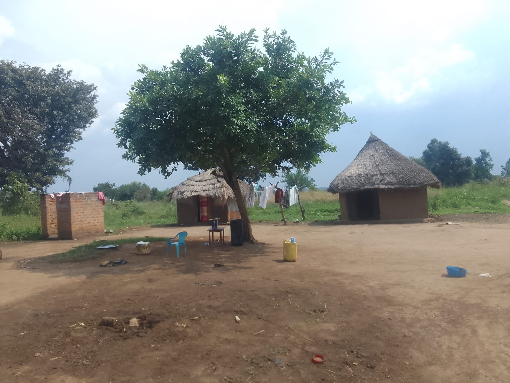 A rural Ugandan family compound with two round thatched-roof houses, a brick outbuilding, laundry hanging on a line under a tree, and everyday household items scattered in the swept dirt yard