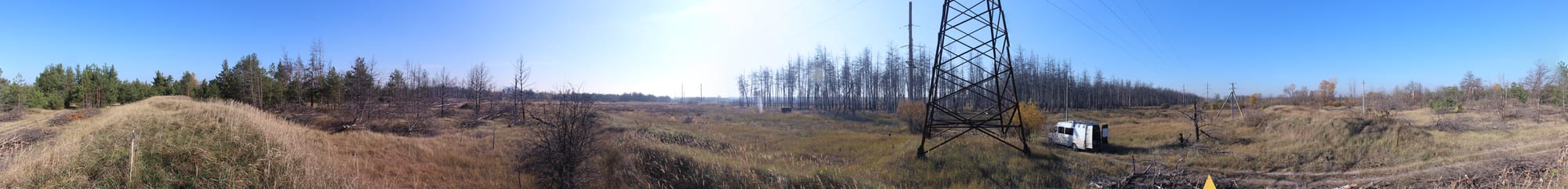 An abandoned, overgrown landscape within a restricted exclusion zone