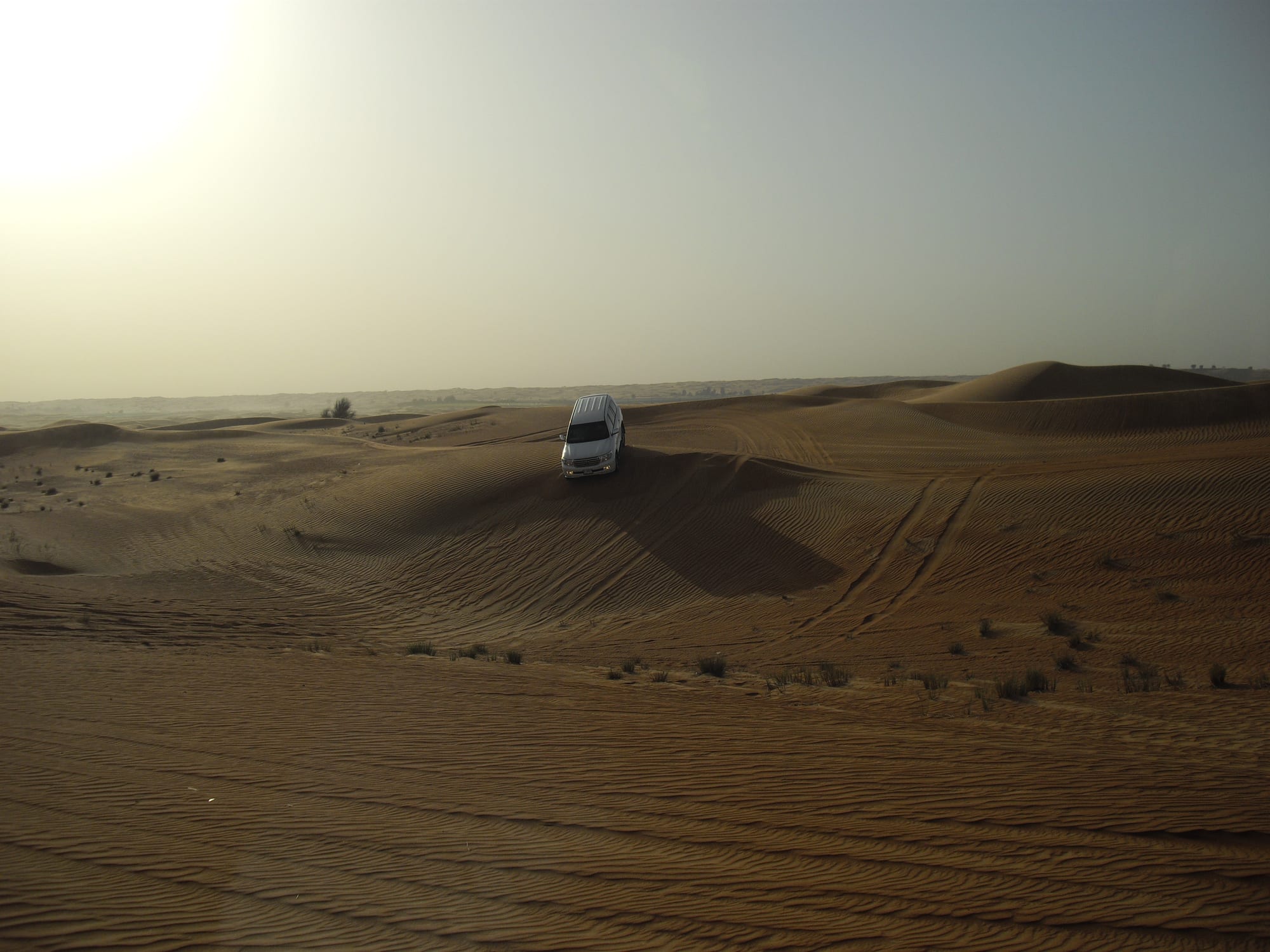4x4 vehicles driving over large sand dunes at sunset