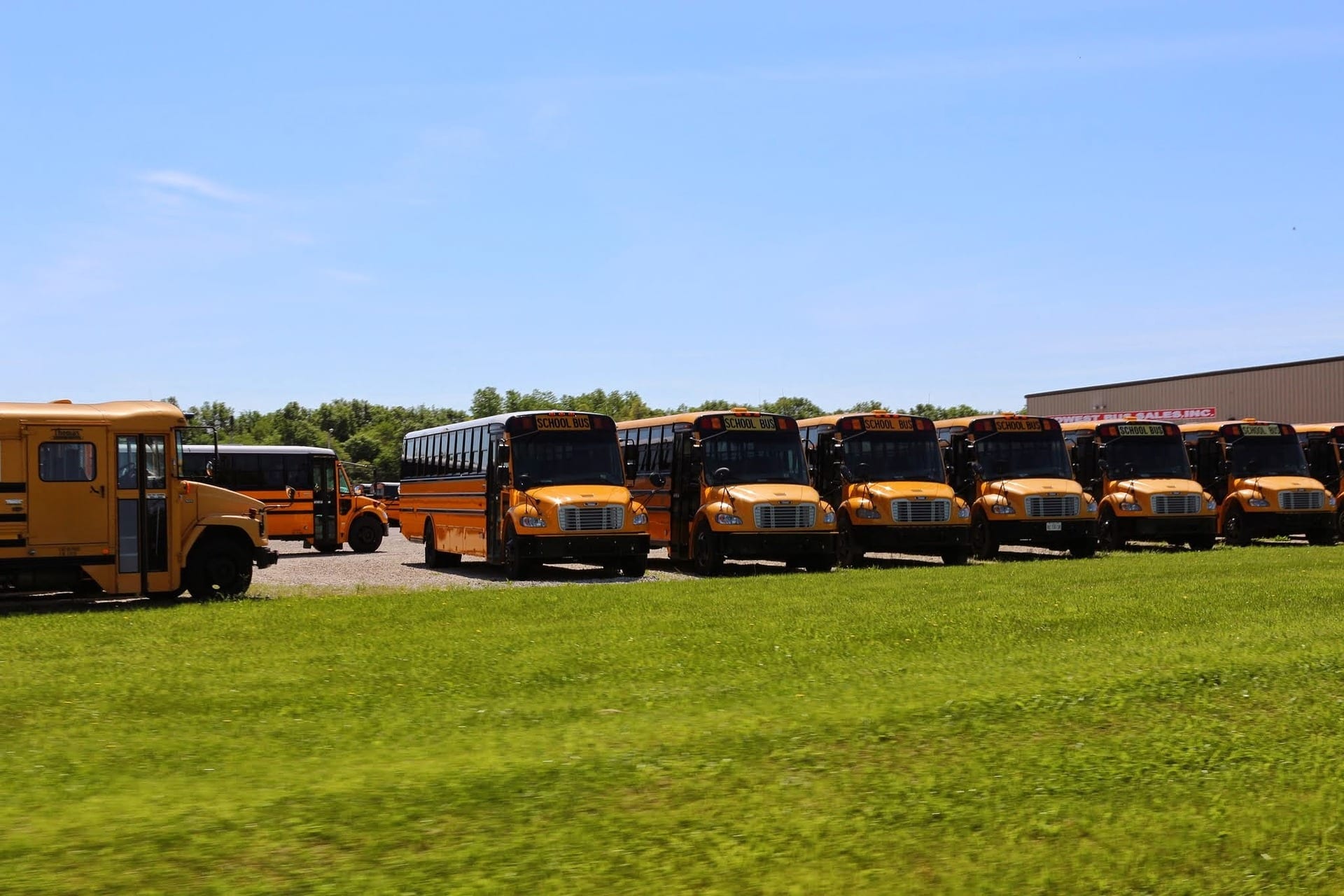 A row of yellow American school buses parked in a fleet yard under a clear blue sky