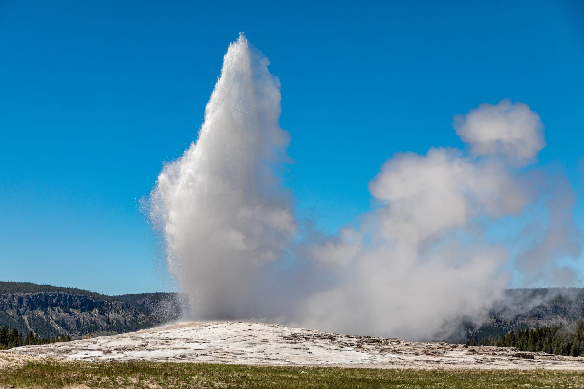 A geyser erupting with a tall plume of steam and water