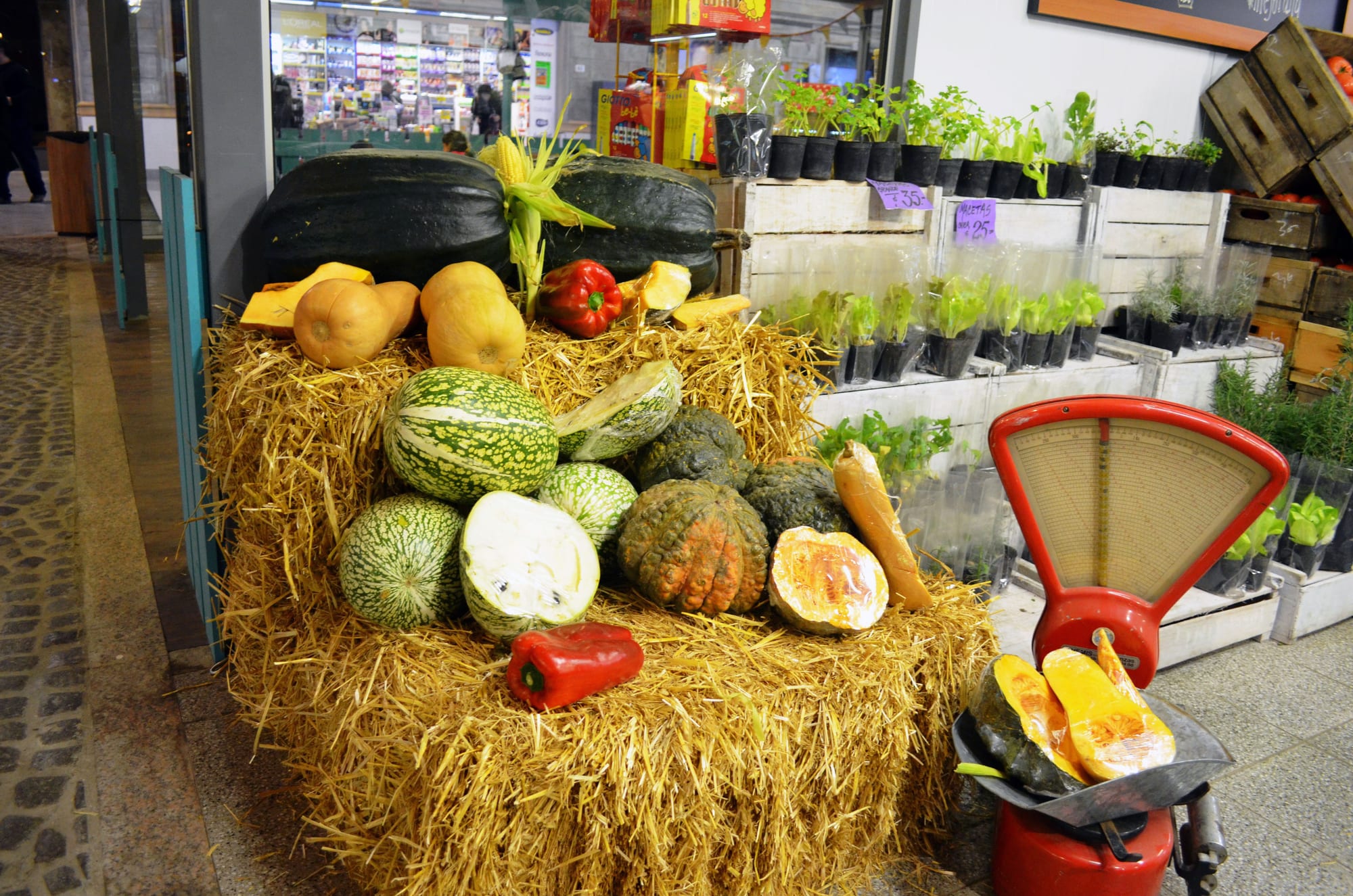 Fresh squashes, peppers and potted seedlings displayed on straw bales and market crates at a covered market stall