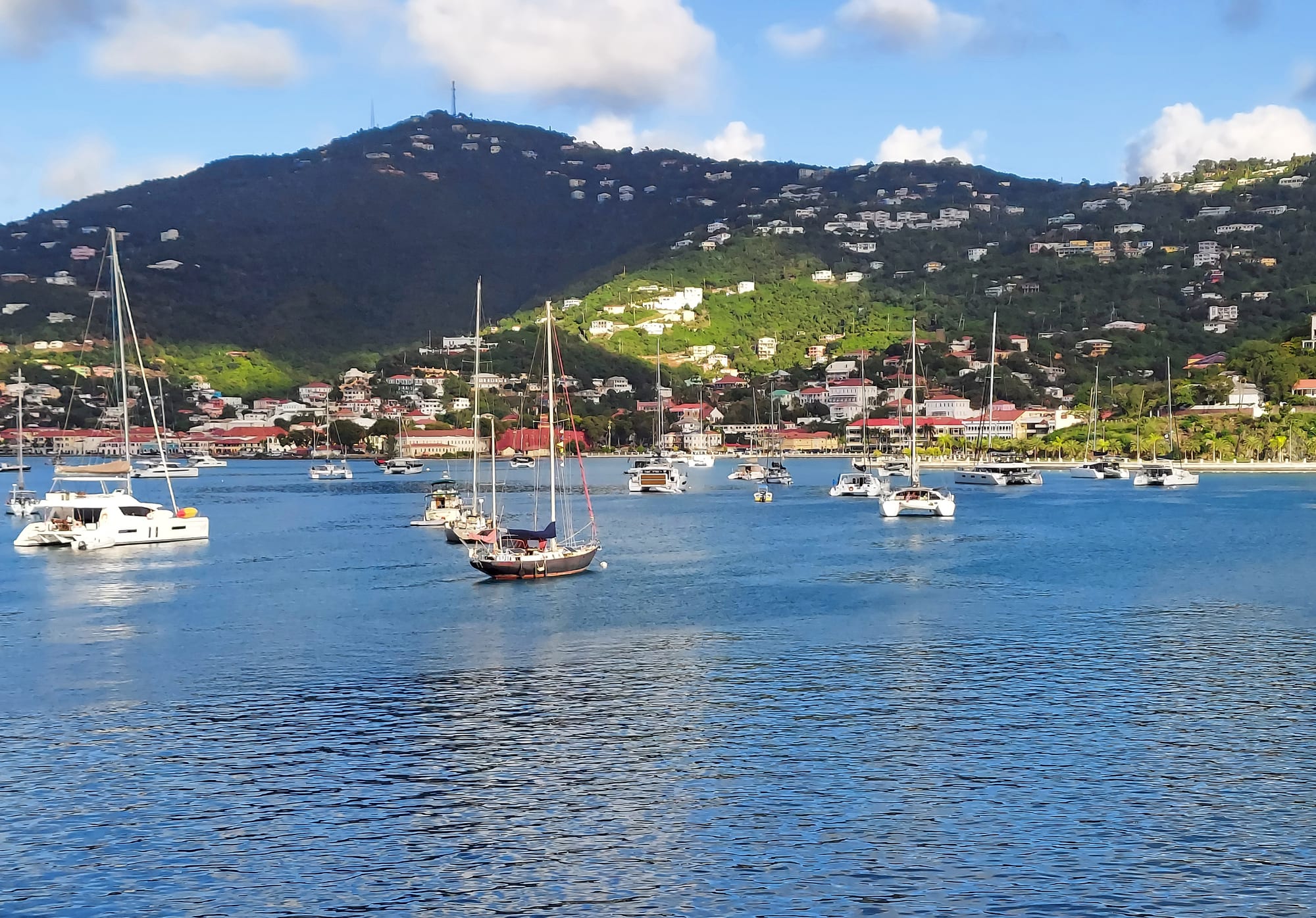 A harbourfront town with historic buildings and cruise ships