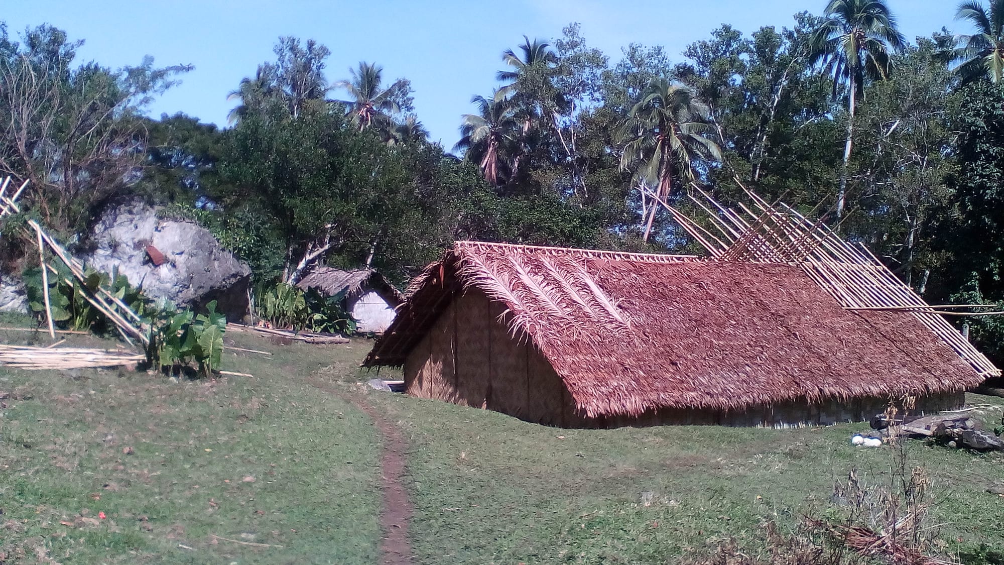 A traditional Vanuatu house with a heavy thatched roof and woven walls, standing in a grassy clearing among palm trees