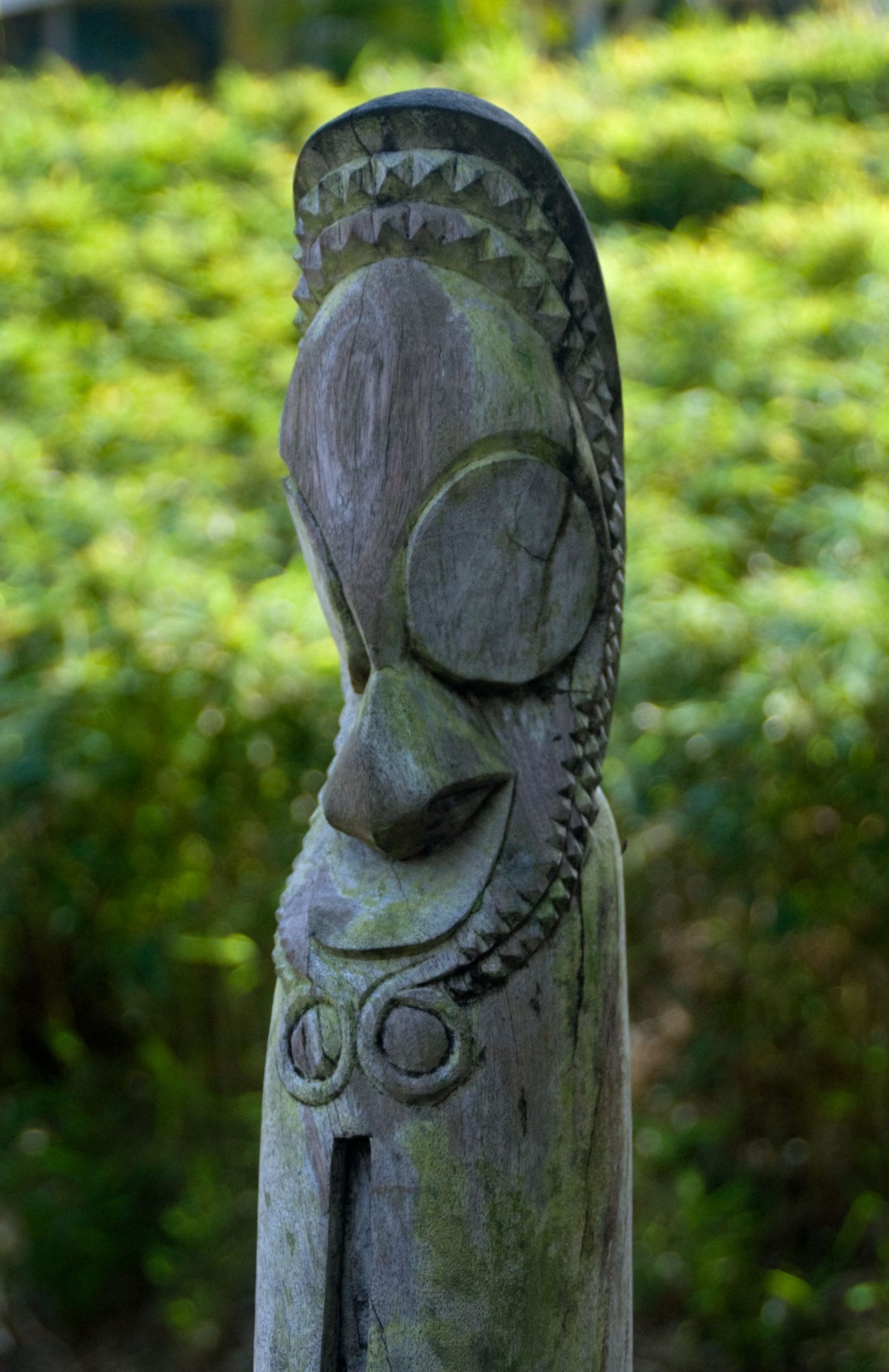 The top of a weathered wooden slit gong carved with a stylised face, with large round eyes, a long nose and a notched crest, above the narrow vertical slit, against a background of green foliage