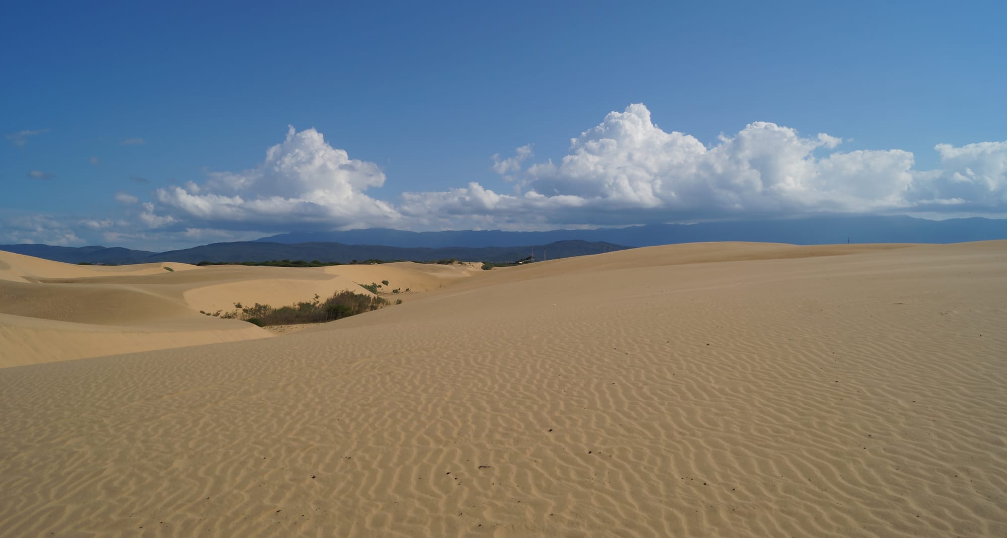 Vast golden sand dunes stretching to distant mountains under a blue sky