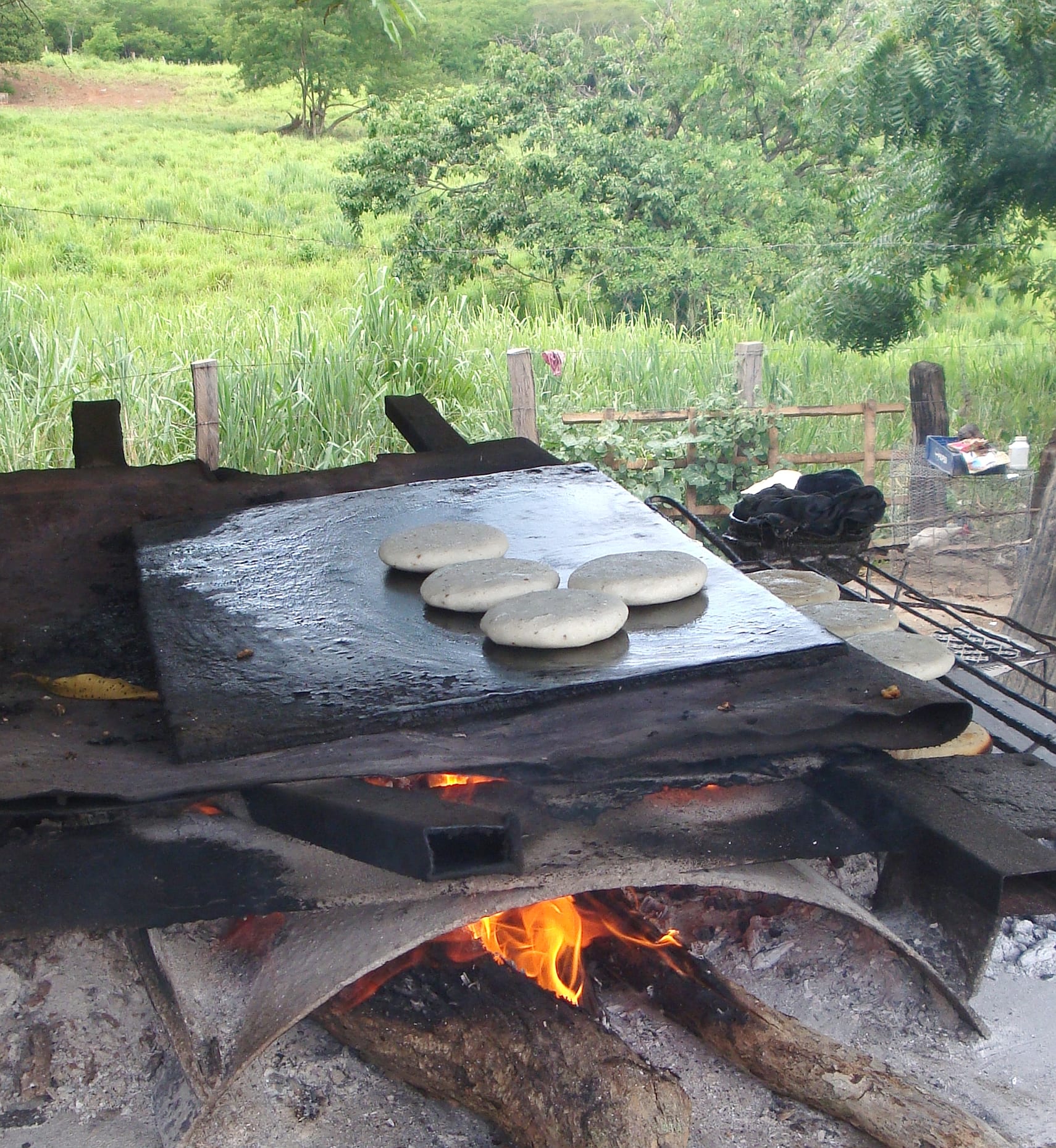 Round cornmeal cakes cooking on a griddle over an open fire
