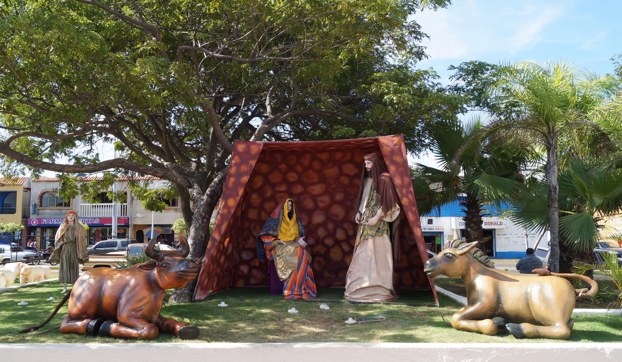 A large outdoor nativity scene under a spreading tree, with life-size figures of Mary and Joseph in a draped tent, a shepherd to one side and an ox and a donkey lying in front