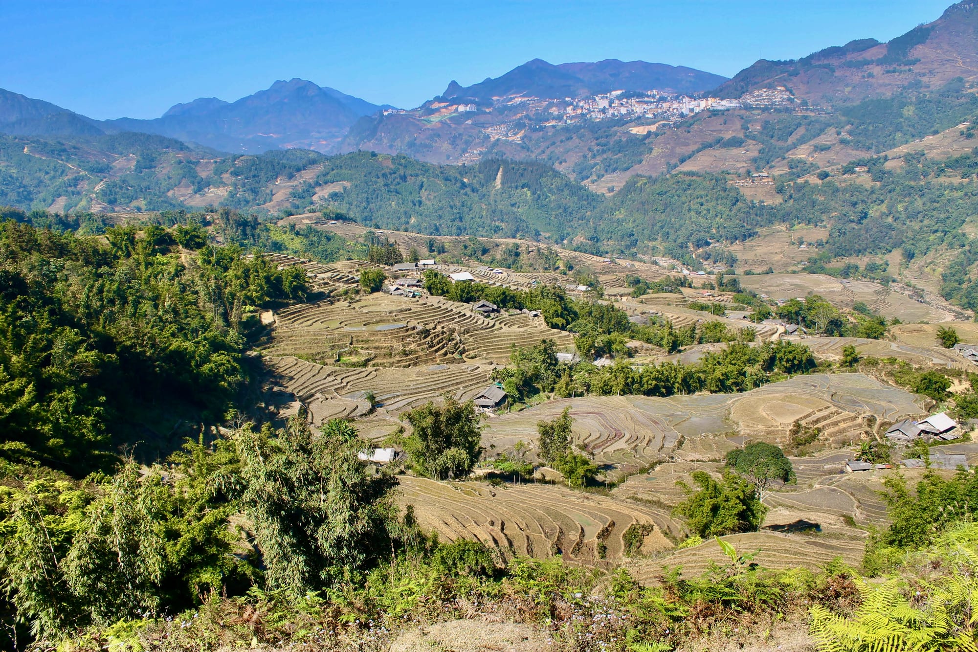 Steep terraced rice paddies carved into green mountain slopes