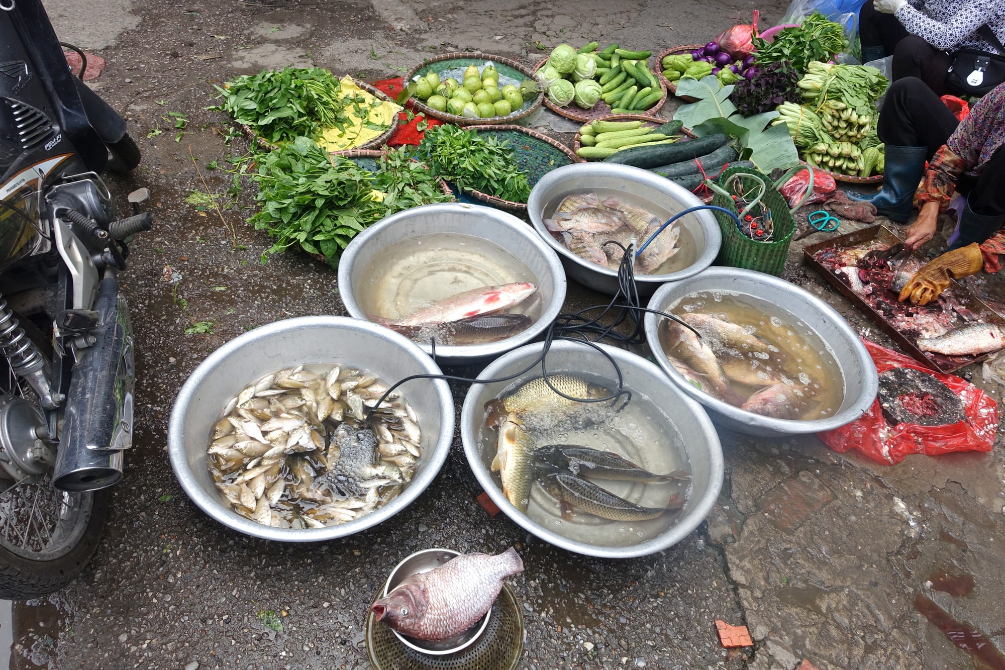 Fresh fish in basins and fresh vegetables laid out at a street market