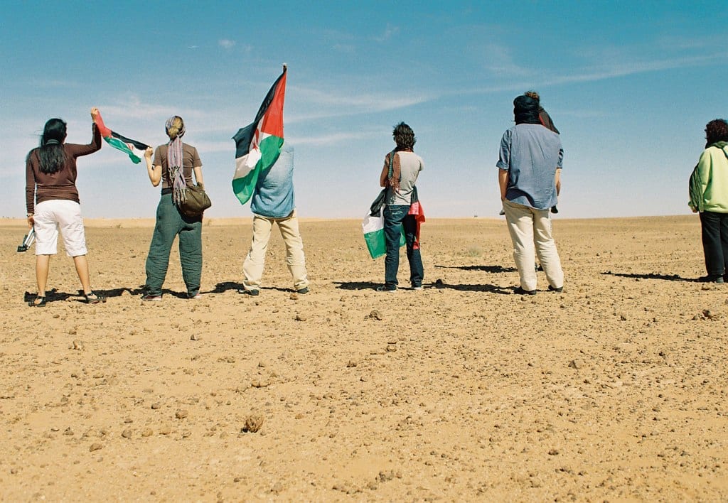 A long low sand-and-stone wall running straight across flat open desert under a pale sky