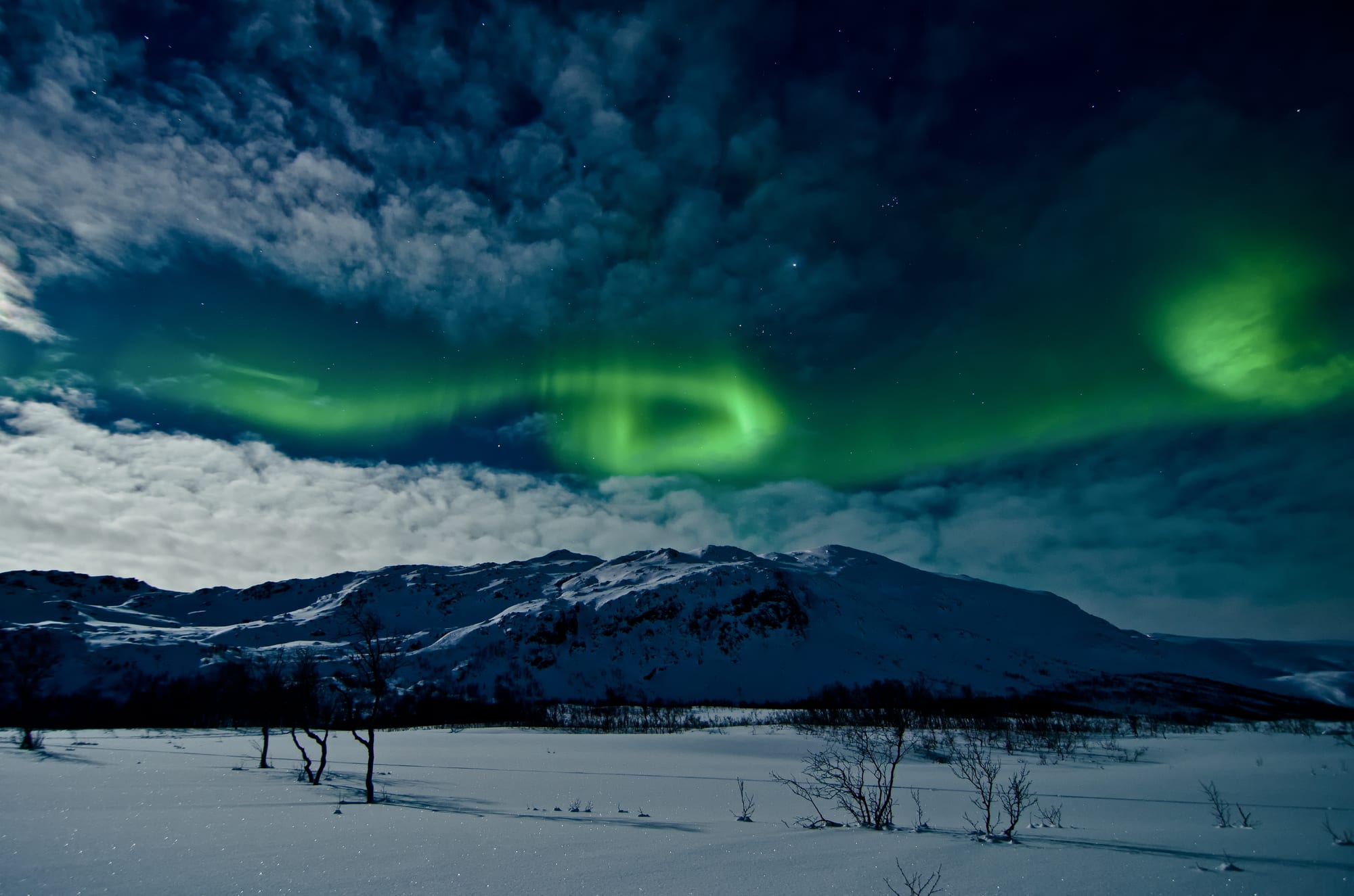 Swirling bands of green light across a night sky between patchy clouds, above a snow-covered mountain and a snowy plain dotted with bare birch trees