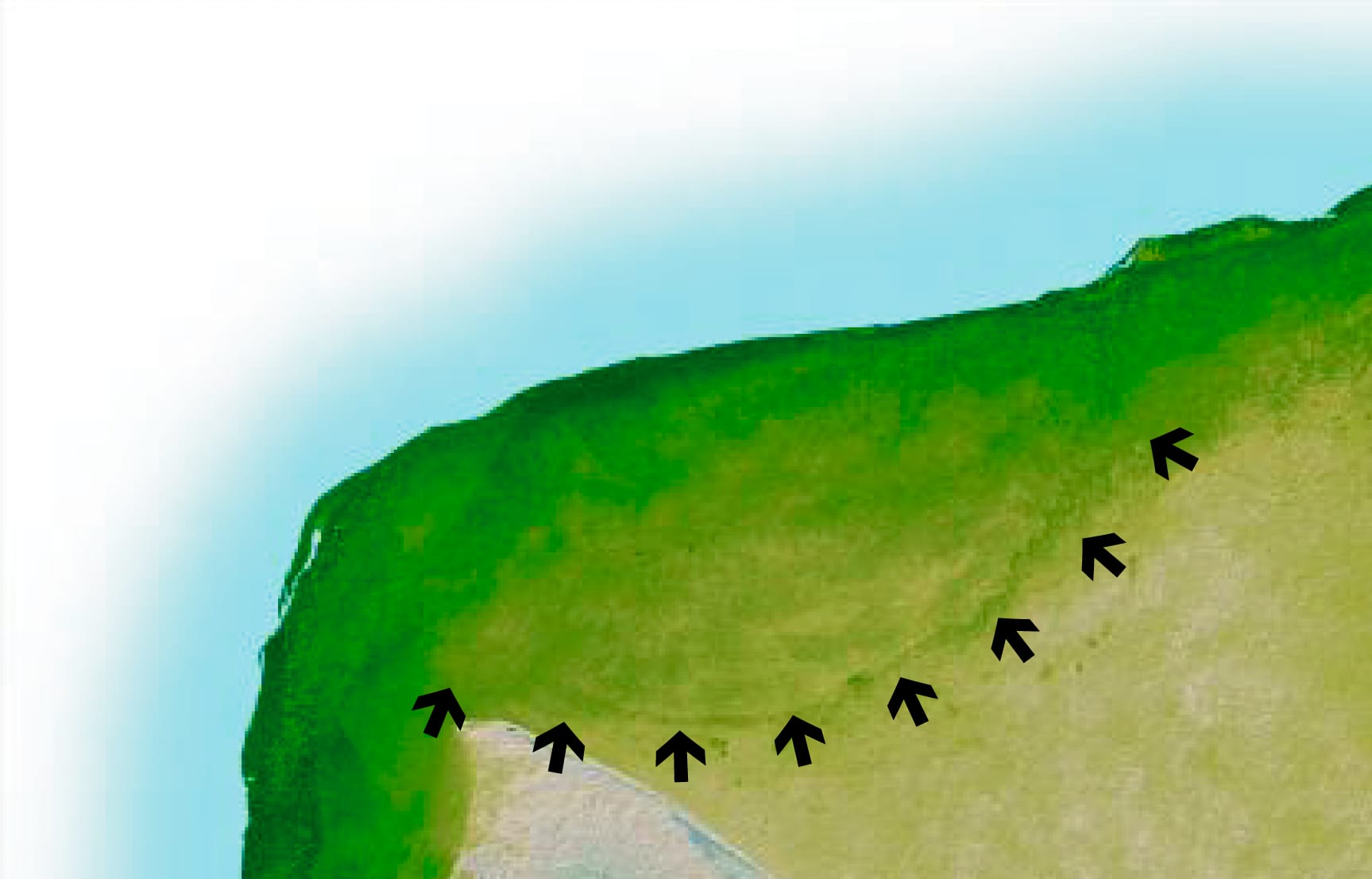 A shaded relief map of the green northern coast of the Yucatán Peninsula, with a curved line of black arrows running across it
