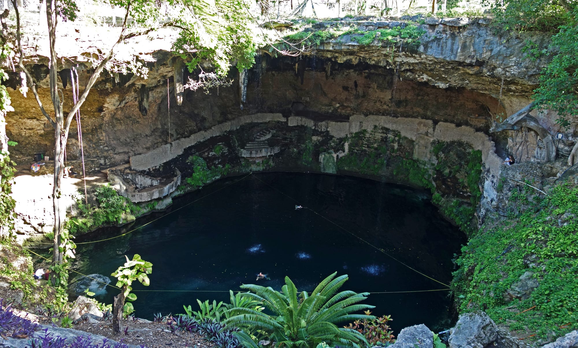 A deep round pool of dark blue water at the bottom of a sinkhole, ringed by overhanging limestone cliffs, hanging roots and tropical plants