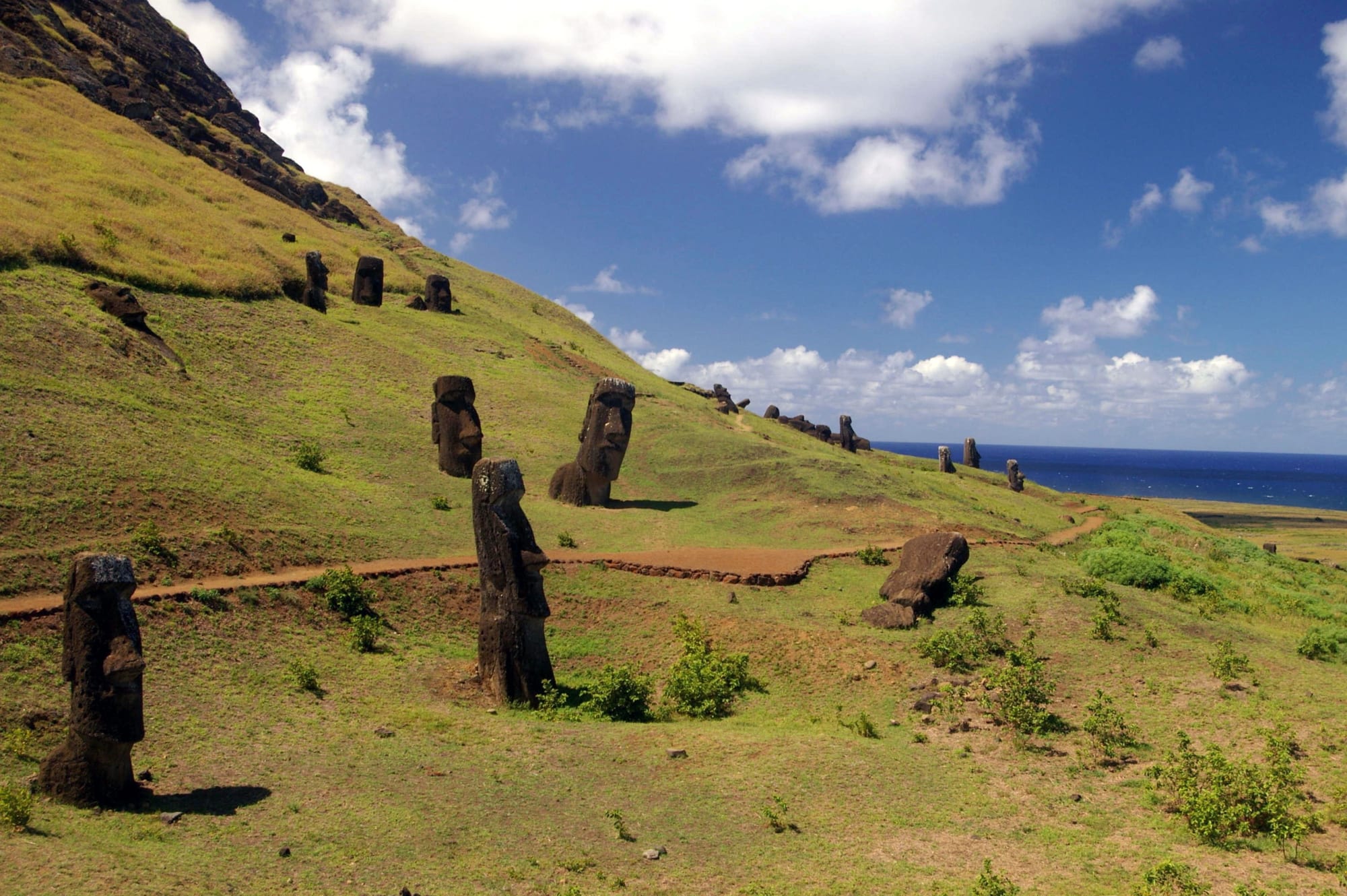 Dark stone statues of various sizes standing upright on a steep green slope, some buried up to their necks, with the blue ocean beyond