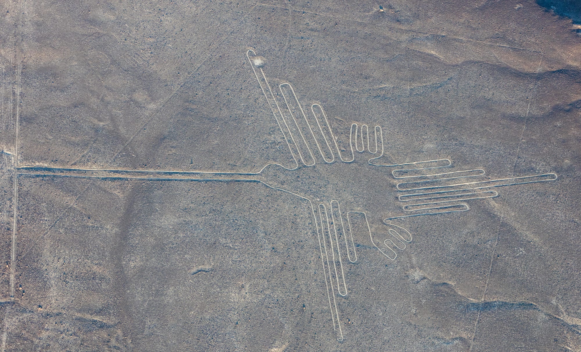 An aerial view of a huge outline of a hummingbird with a long straight beak and fanned wings, drawn in pale lines on brown stony desert