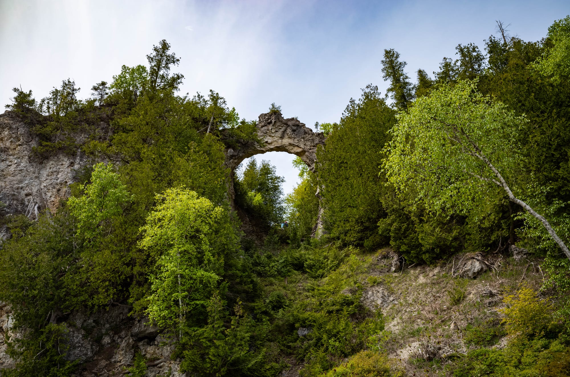 A natural limestone arch high on a wooded cliff, framed by spring-green birch and cedar trees under a pale sky