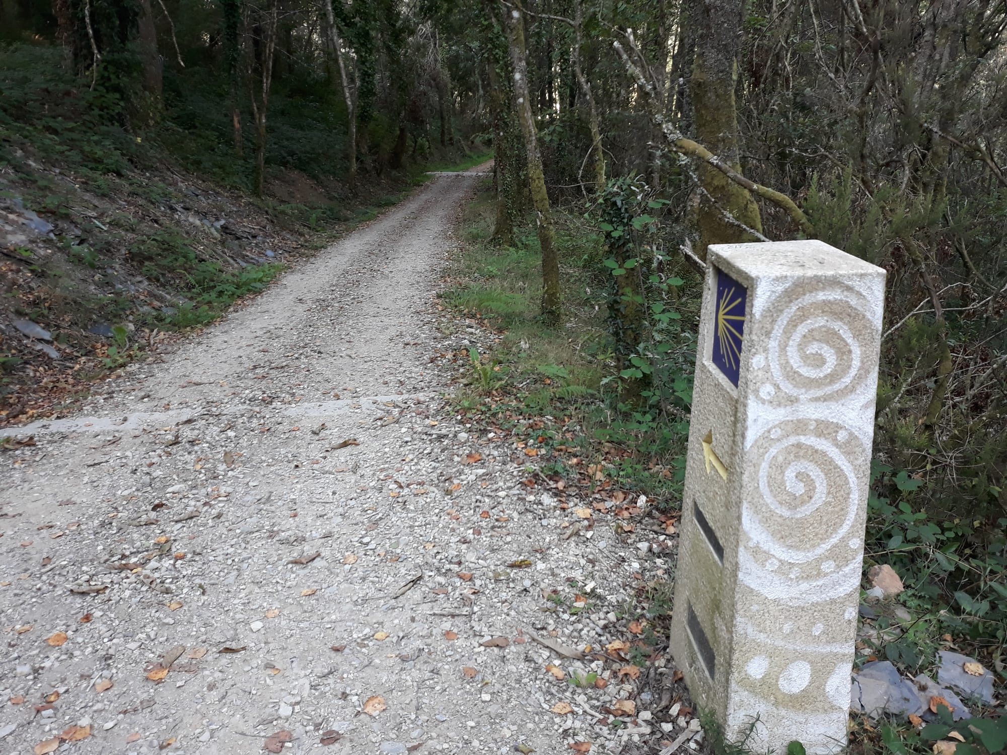 A stone waymarker post carved with spirals and a yellow scallop shell on a blue tile, beside a gravel track through woodland