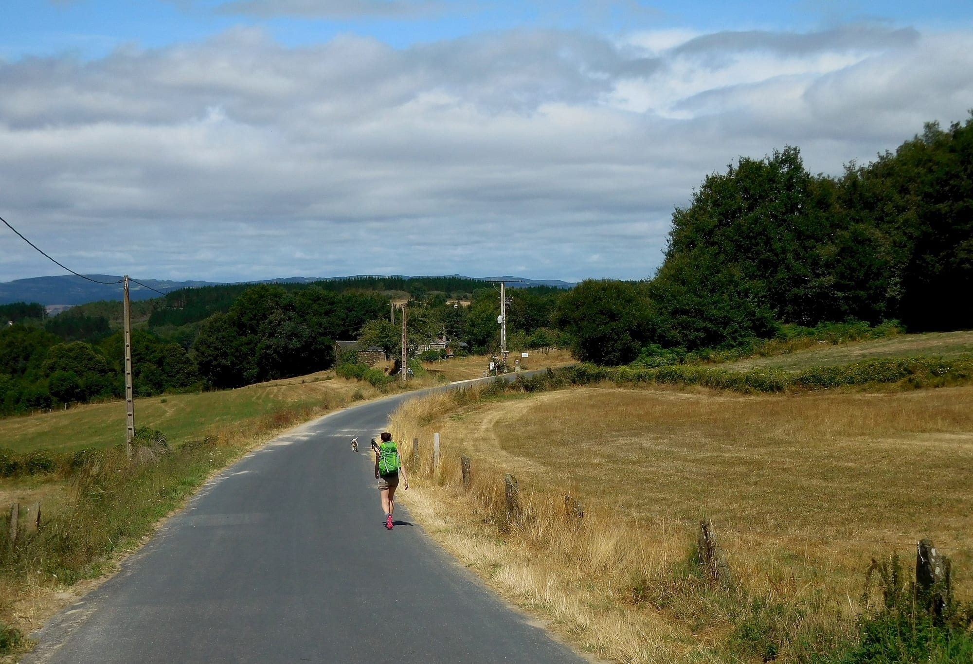 A walker with a green backpack and a small dog on a quiet country lane between dry fields and oak woods under a cloudy sky